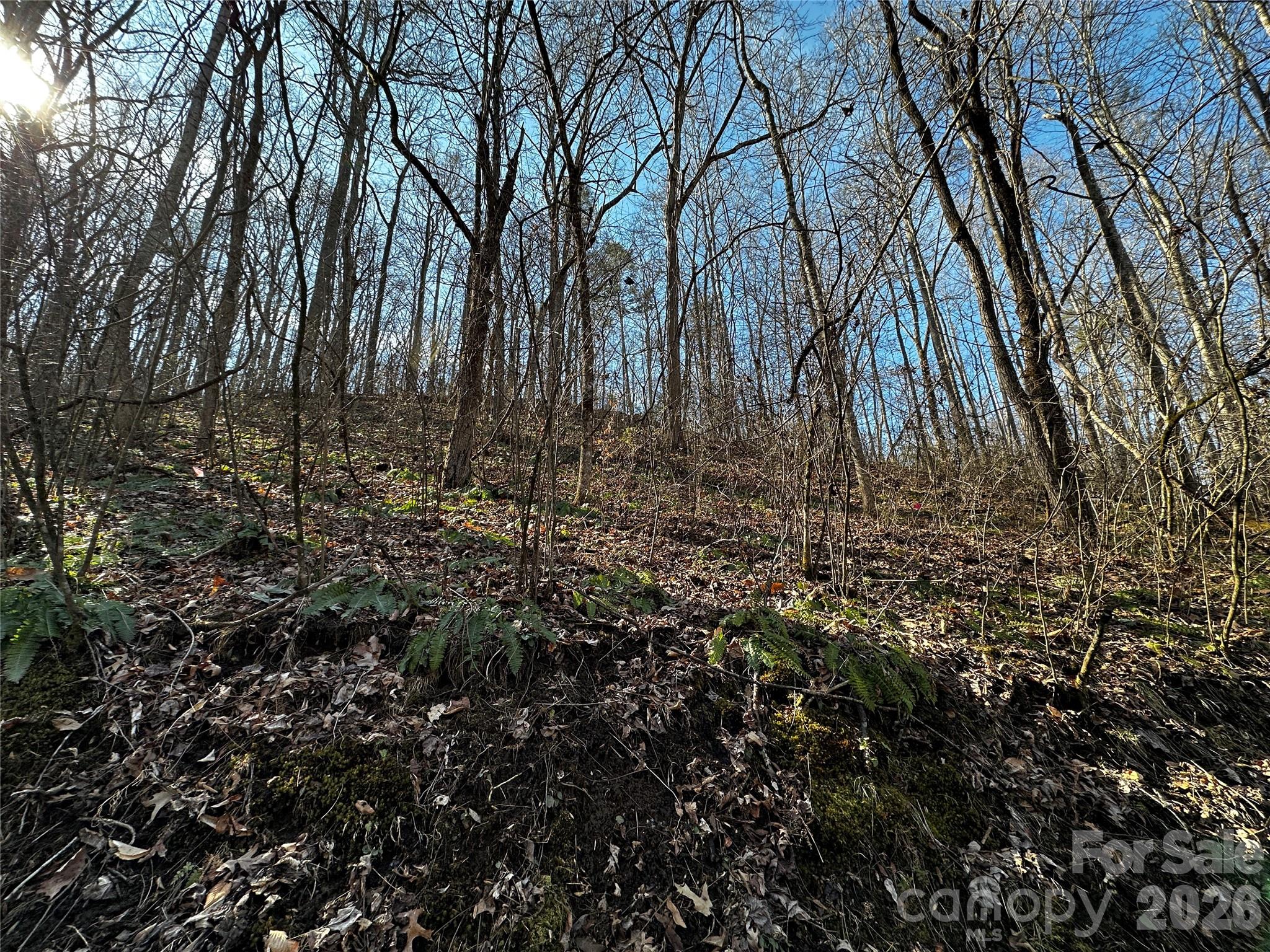 Lot 11 Blue Mist Mountain Road Property Photo 12