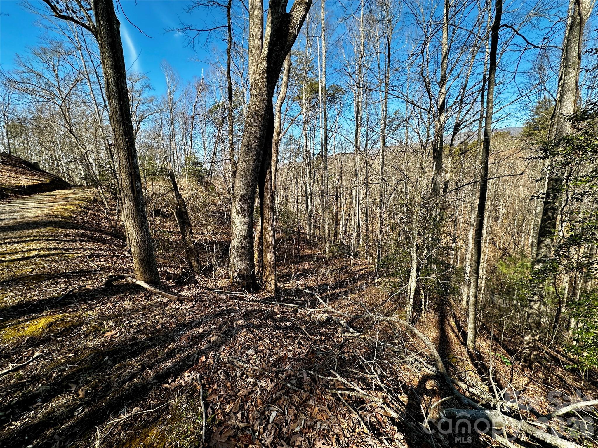 Lot 11 Blue Mist Mountain Road Property Photo 13