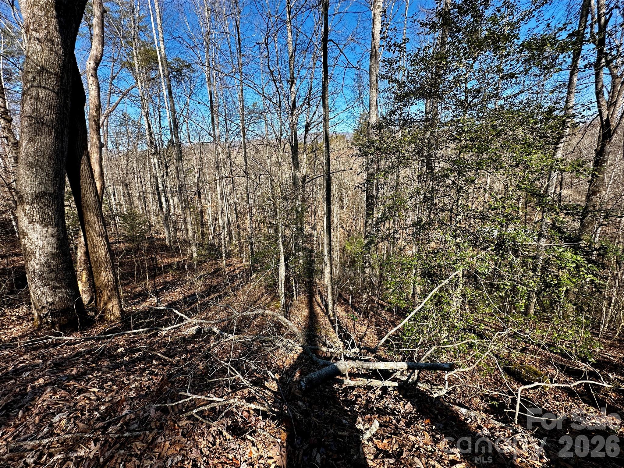 Lot 11 Blue Mist Mountain Road Property Photo 14
