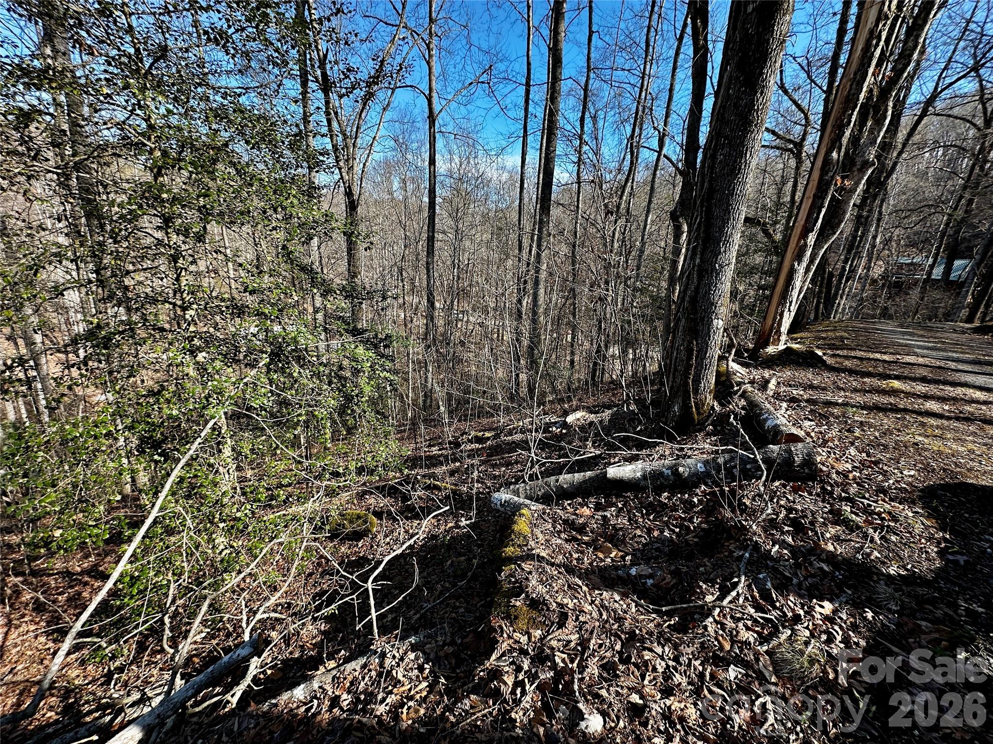 Lot 11 Blue Mist Mountain Road Property Photo 15