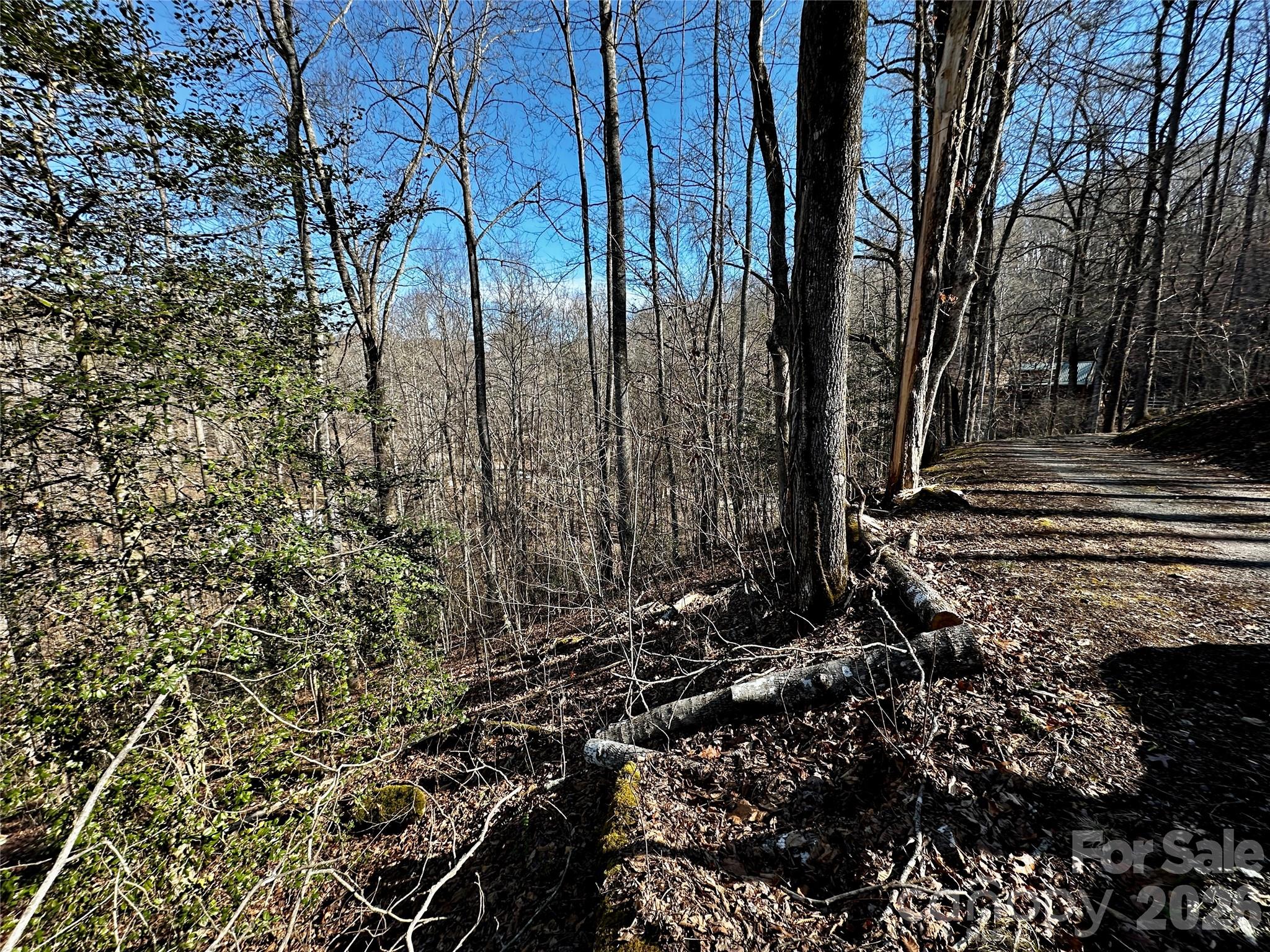 Lot 11 Blue Mist Mountain Road Property Photo 16