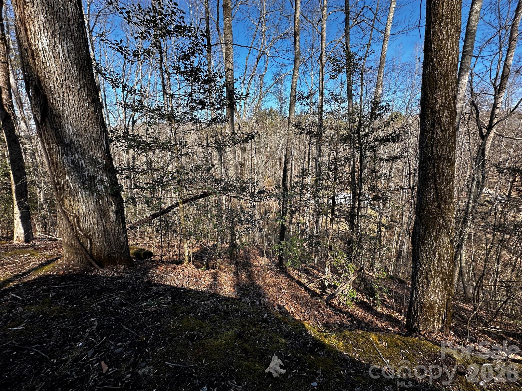 Lot 11 Blue Mist Mountain Road Property Photo 17