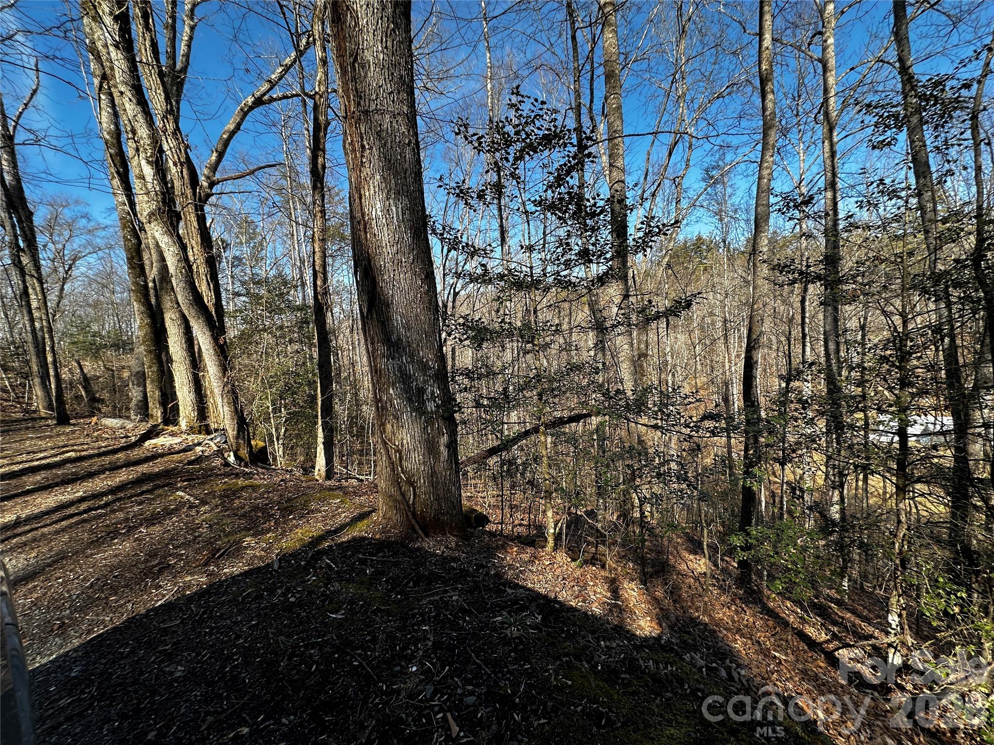 Lot 11 Blue Mist Mountain Road Property Photo 18