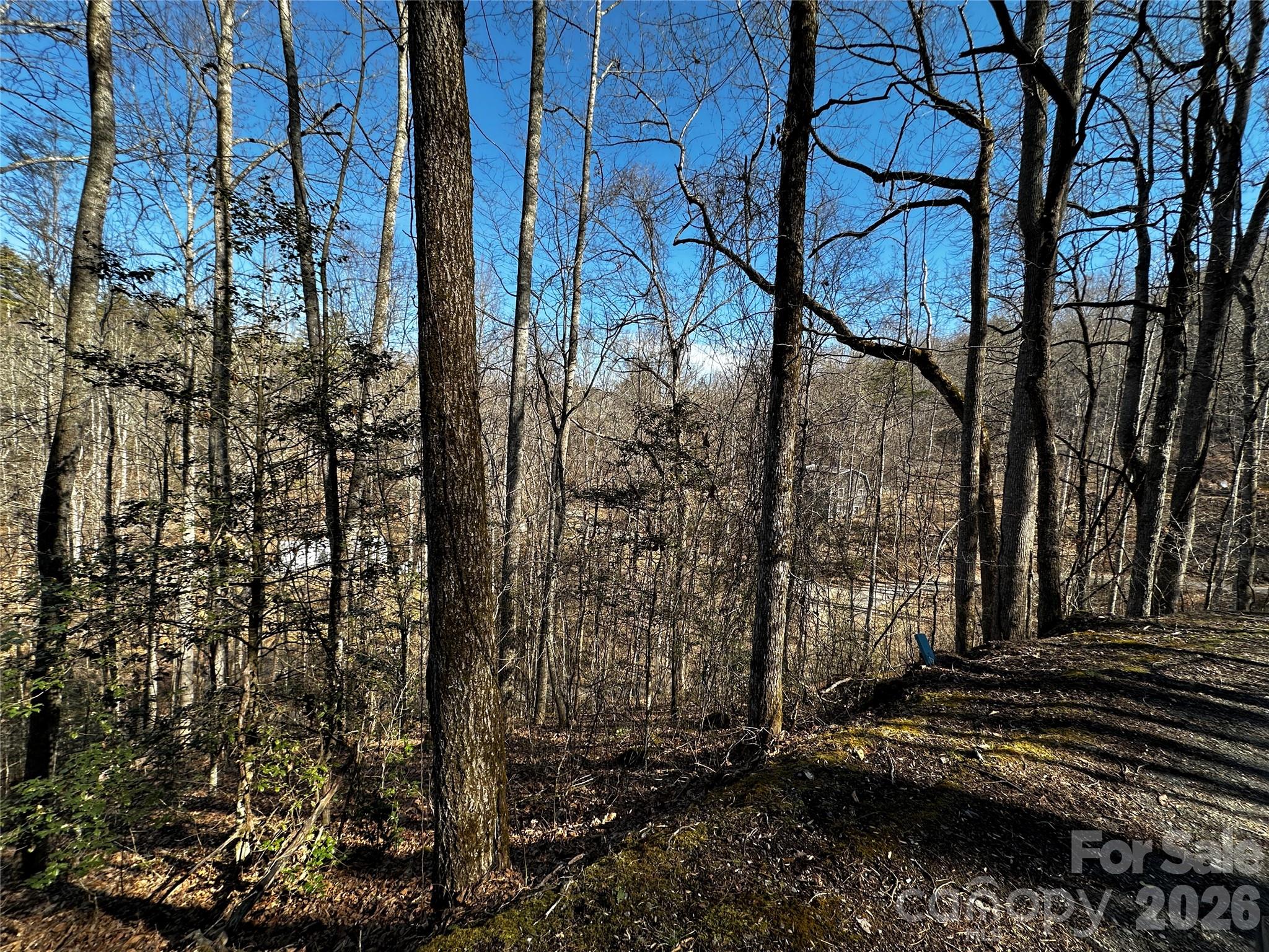 Lot 11 Blue Mist Mountain Road Property Photo 19