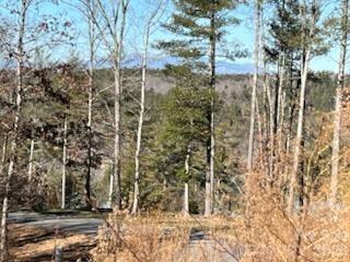 1144 Lakeside Way Property Photo 4
