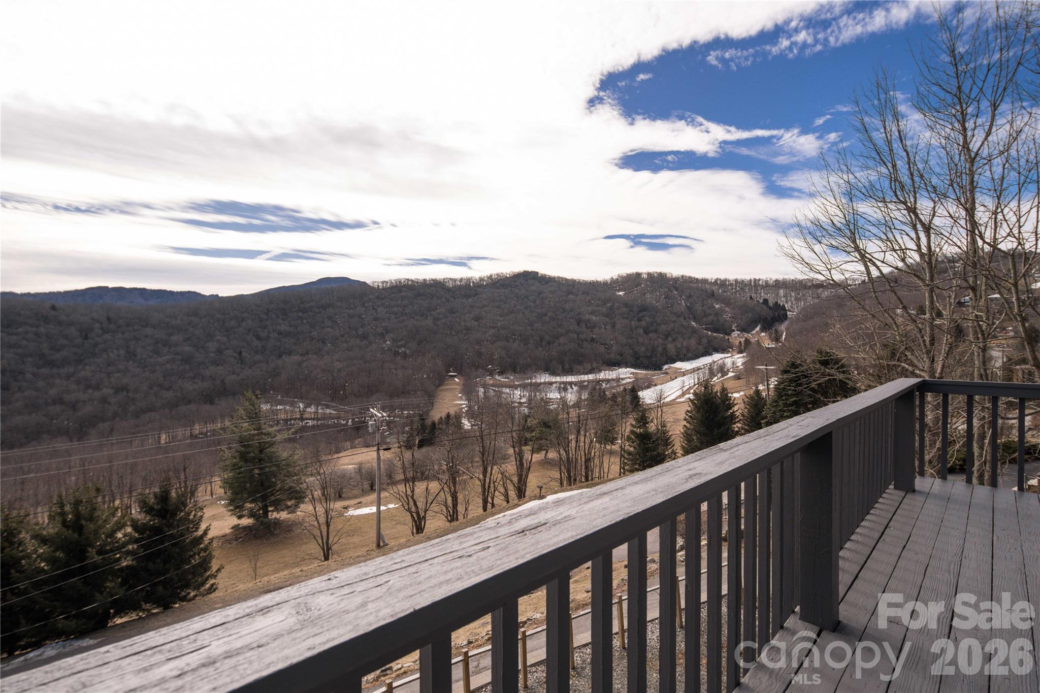 1628 Skyland Drive Property Photo 33