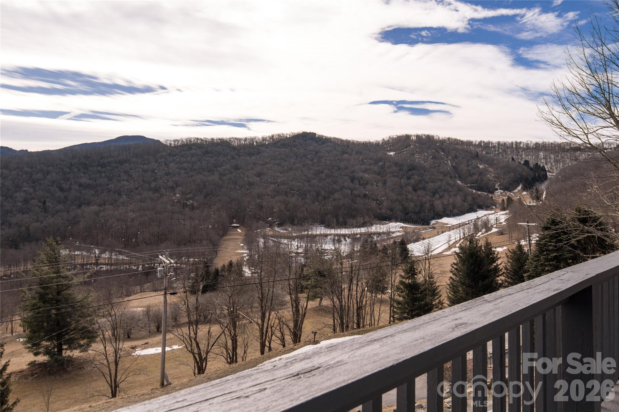 1628 Skyland Drive Property Photo 36