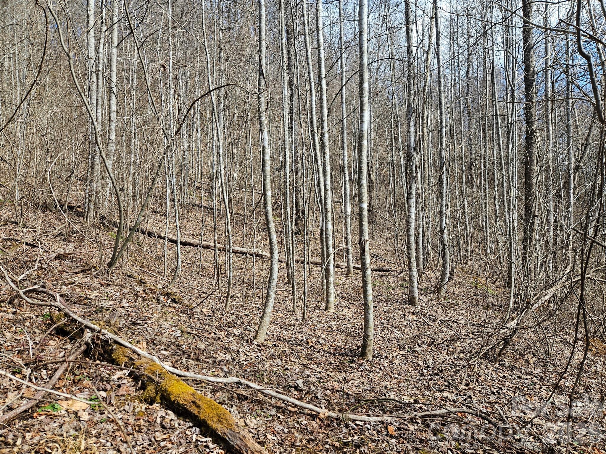 0 Woodfin Road Property Photo 1