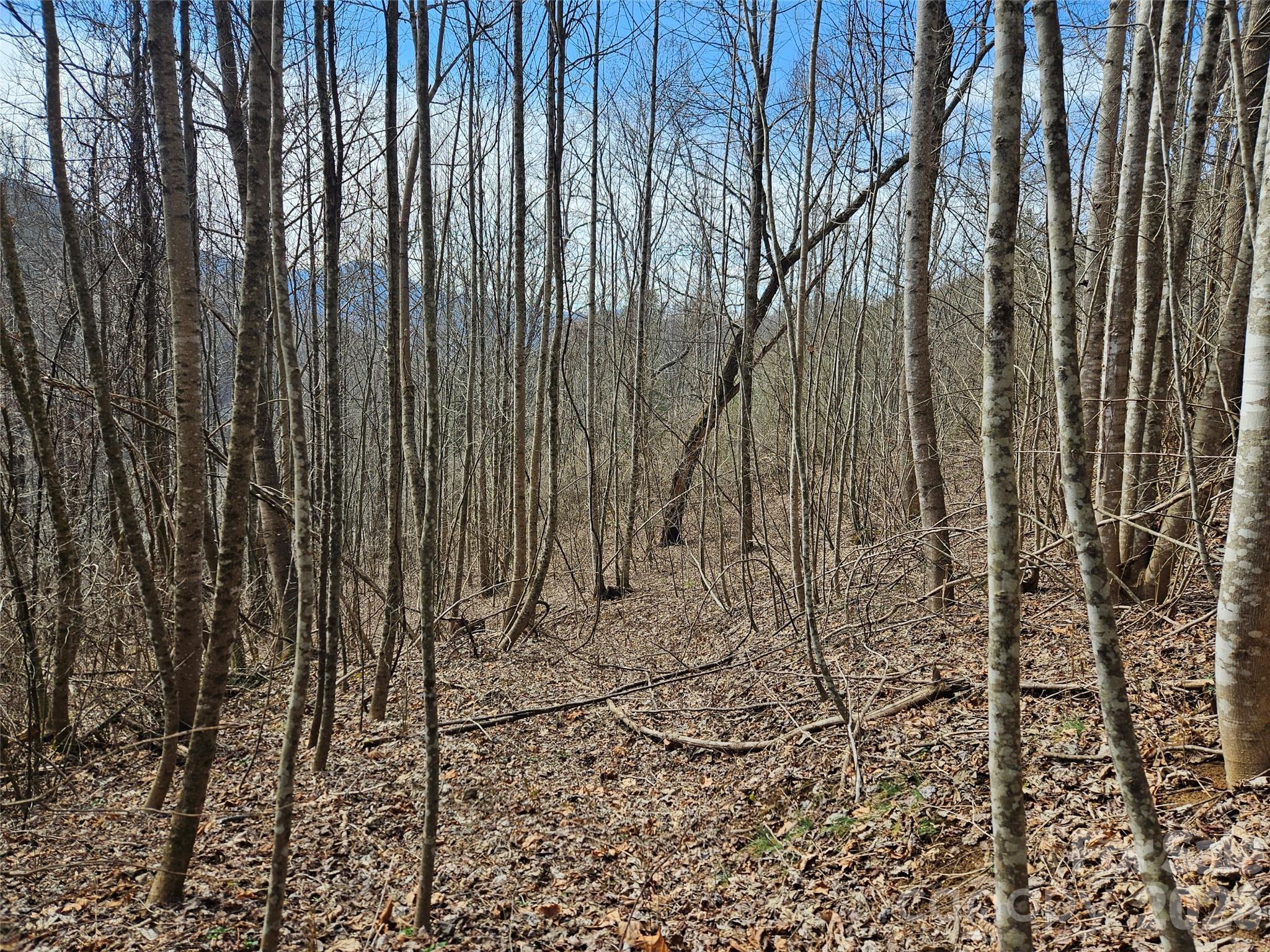 0 Woodfin Road Property Photo 2
