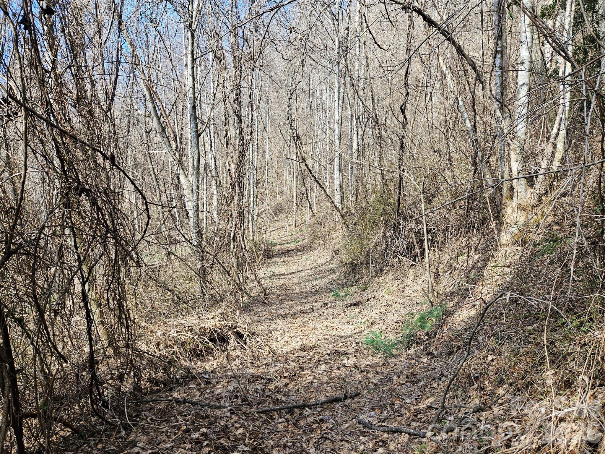 0 Woodfin Road Property Photo 3