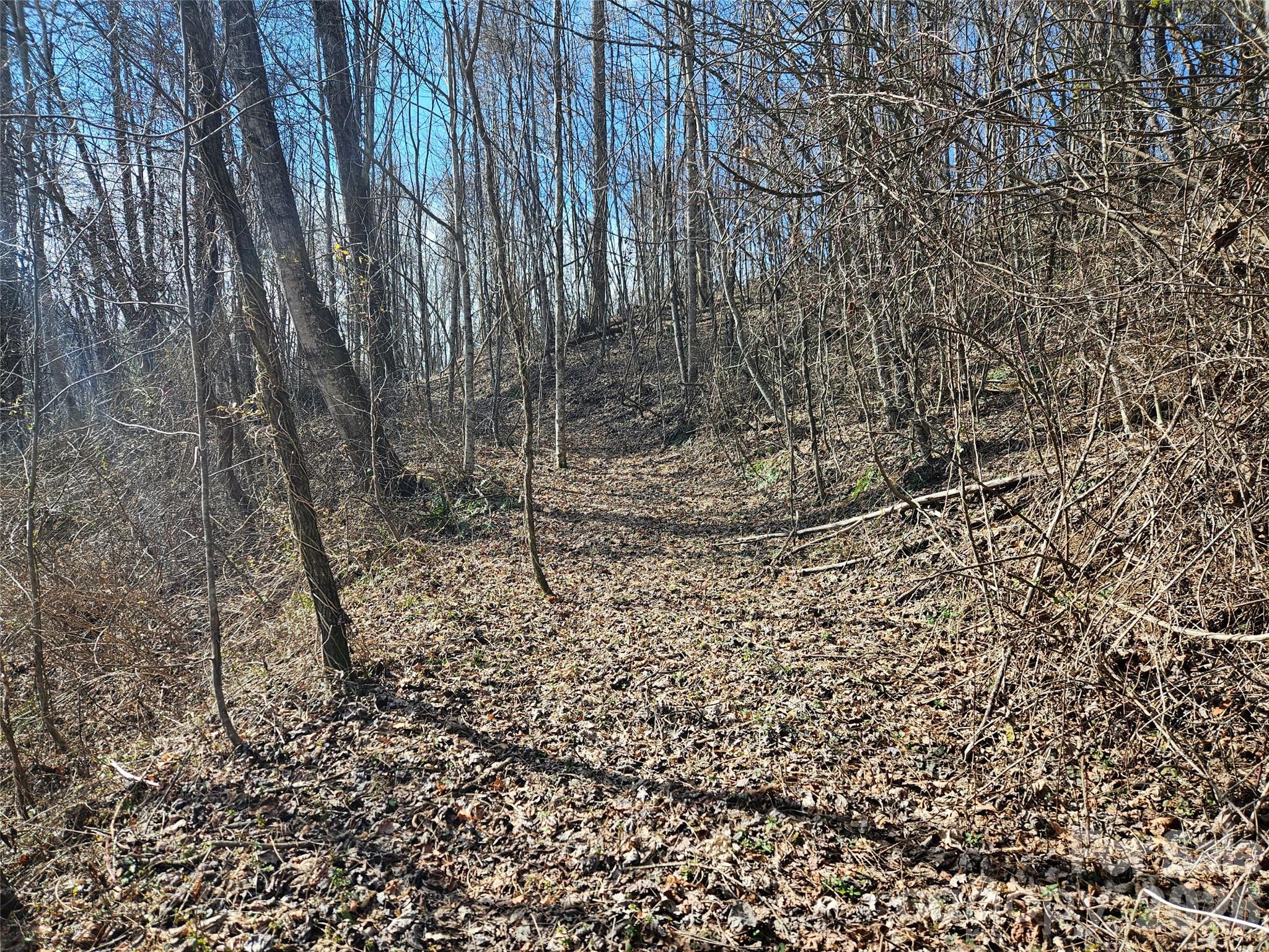 0 Woodfin Road Property Photo 4