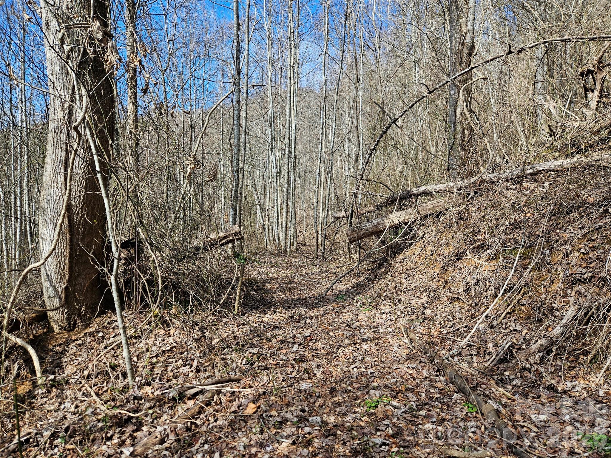 0 Woodfin Road Property Photo 5