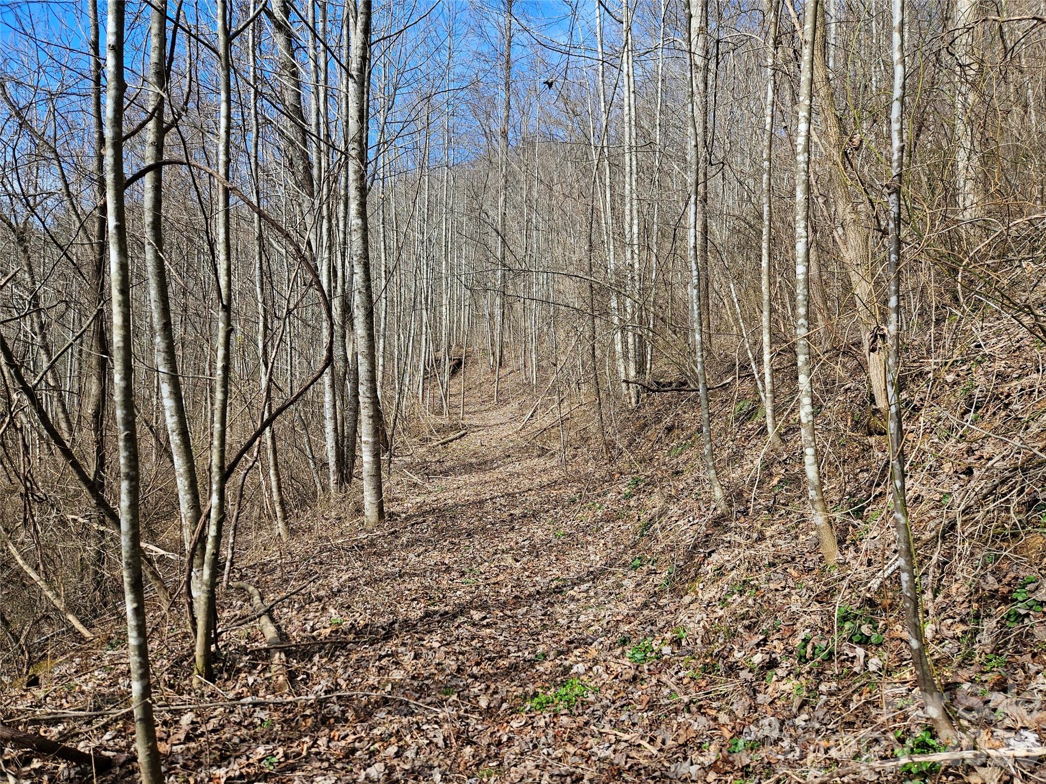 0 Woodfin Road Property Photo 6