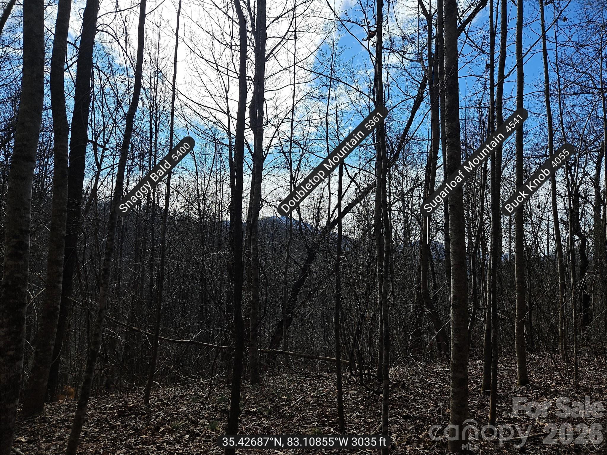 0 Woodfin Road Property Photo 7