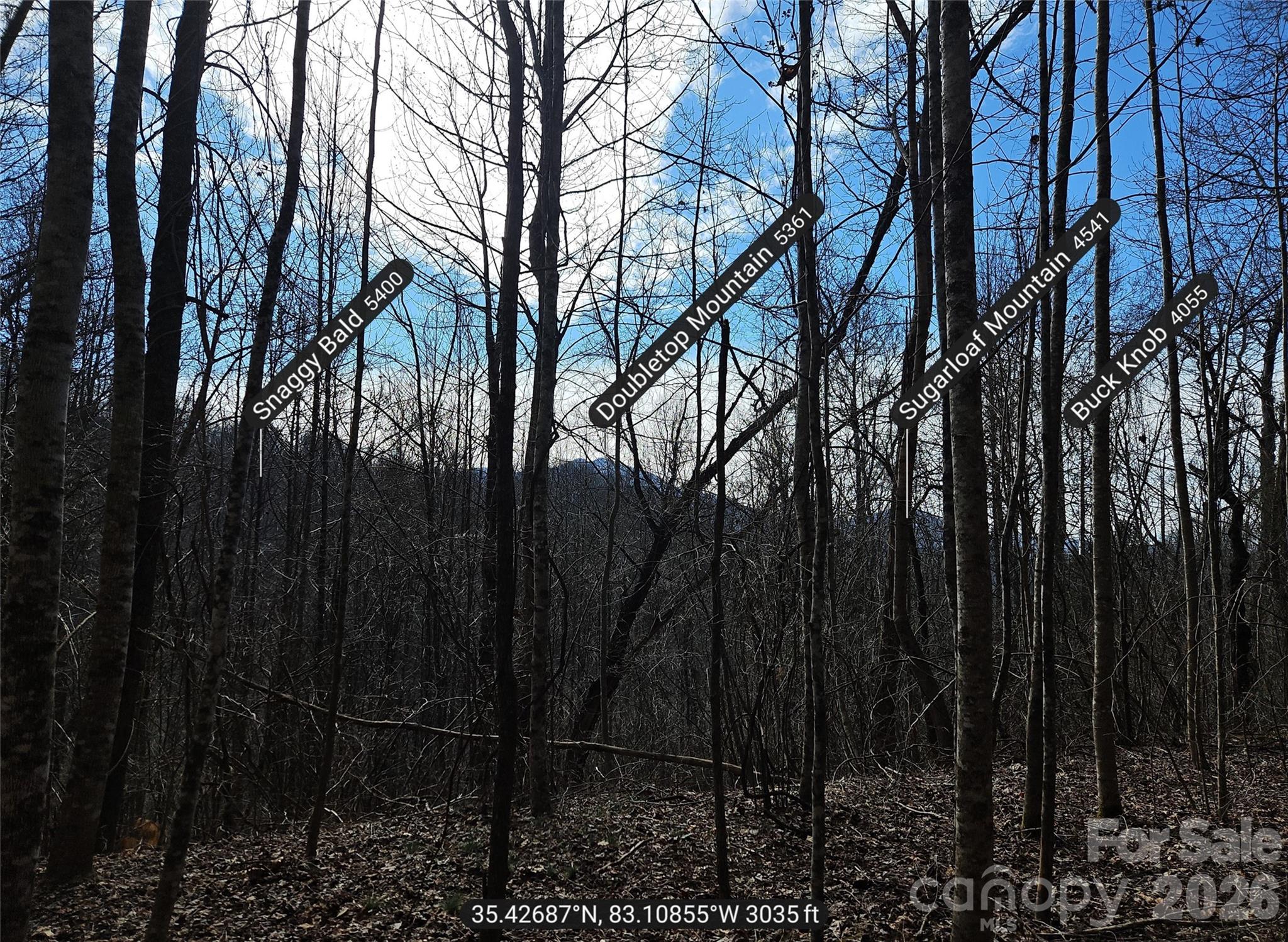 0 Woodfin Road Property Photo 8
