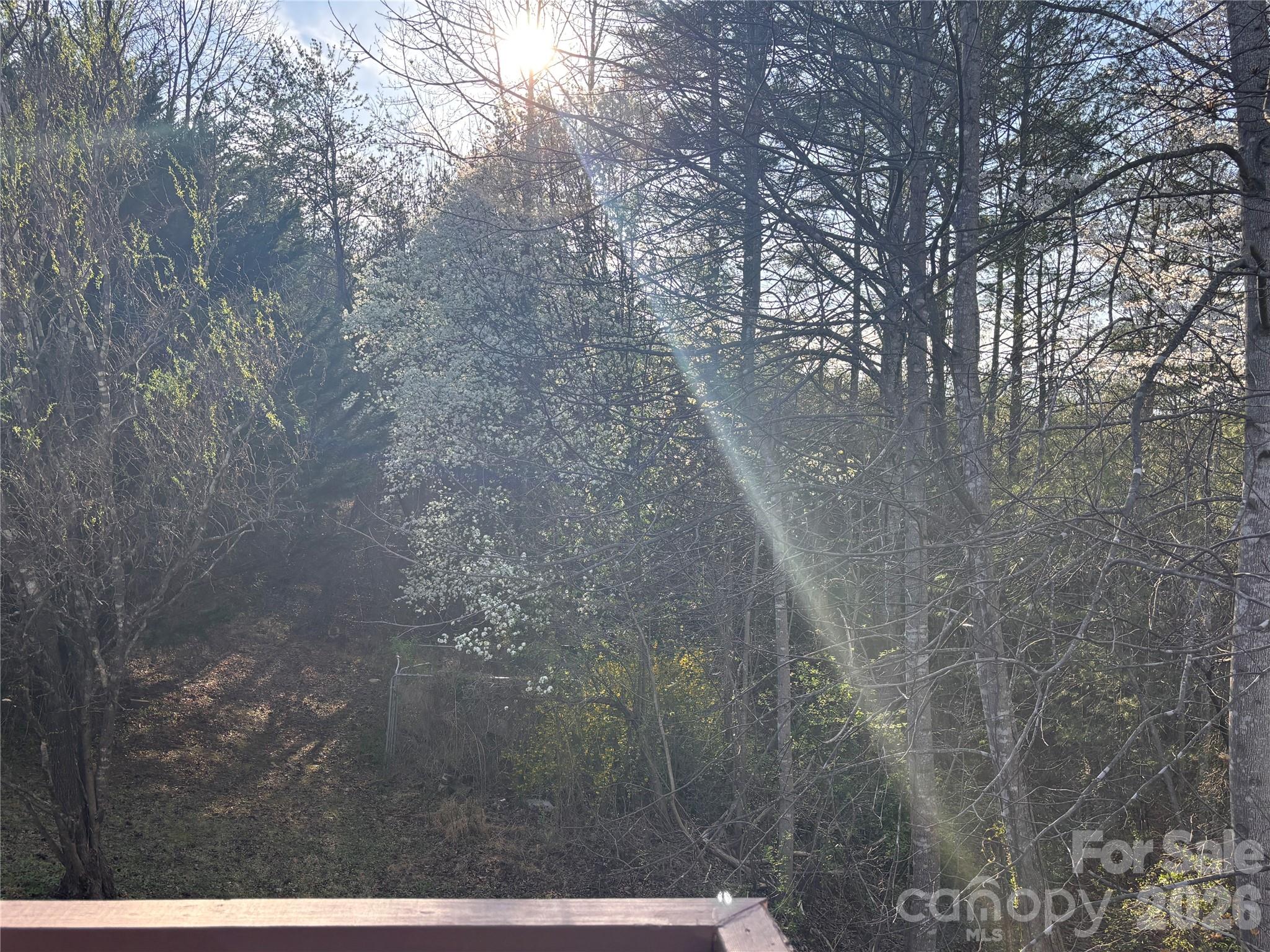 5164 Ralph Winchester Road Property Photo 21