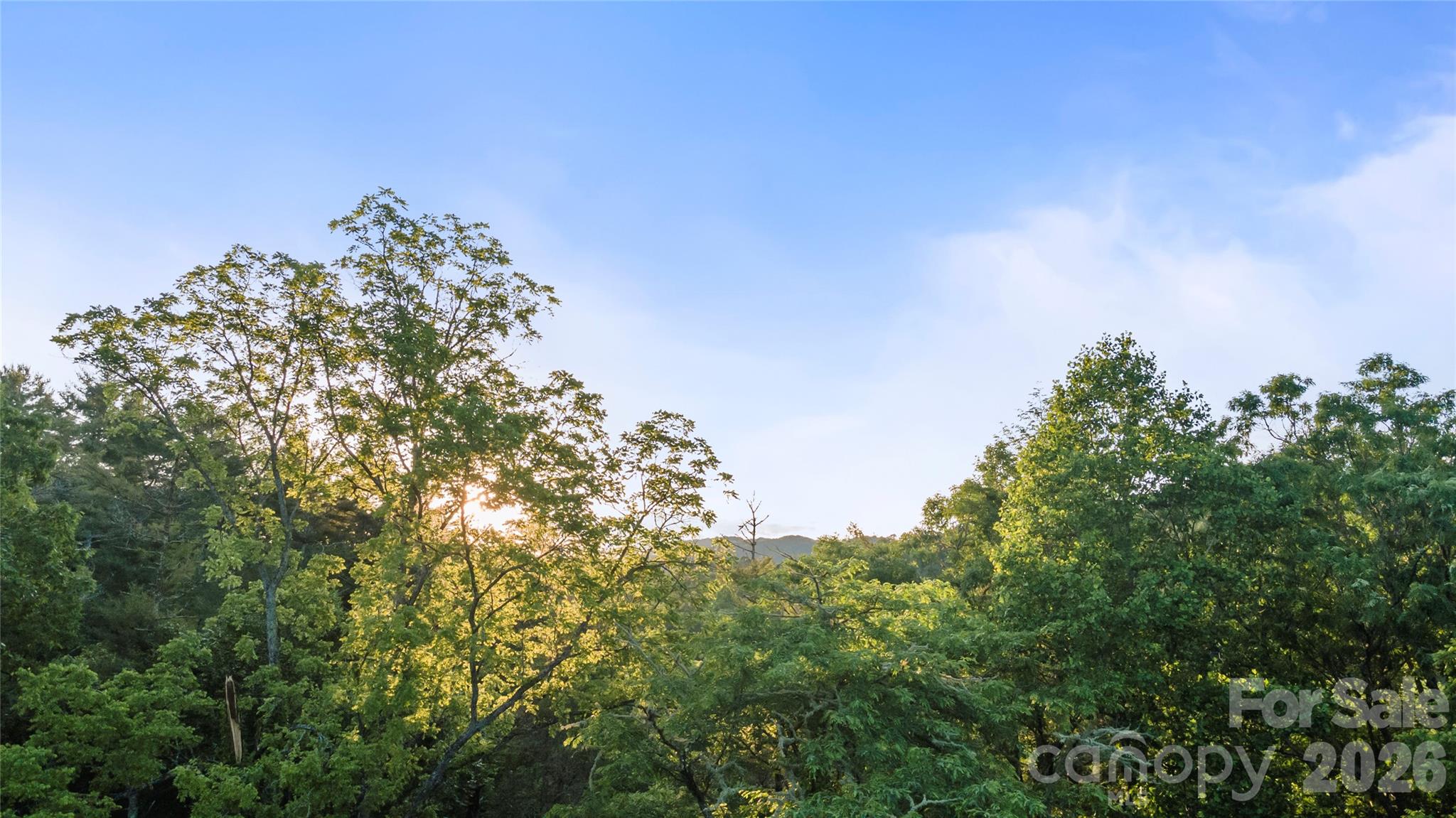 99999 Bear Creek Road 38 Property Photo 12