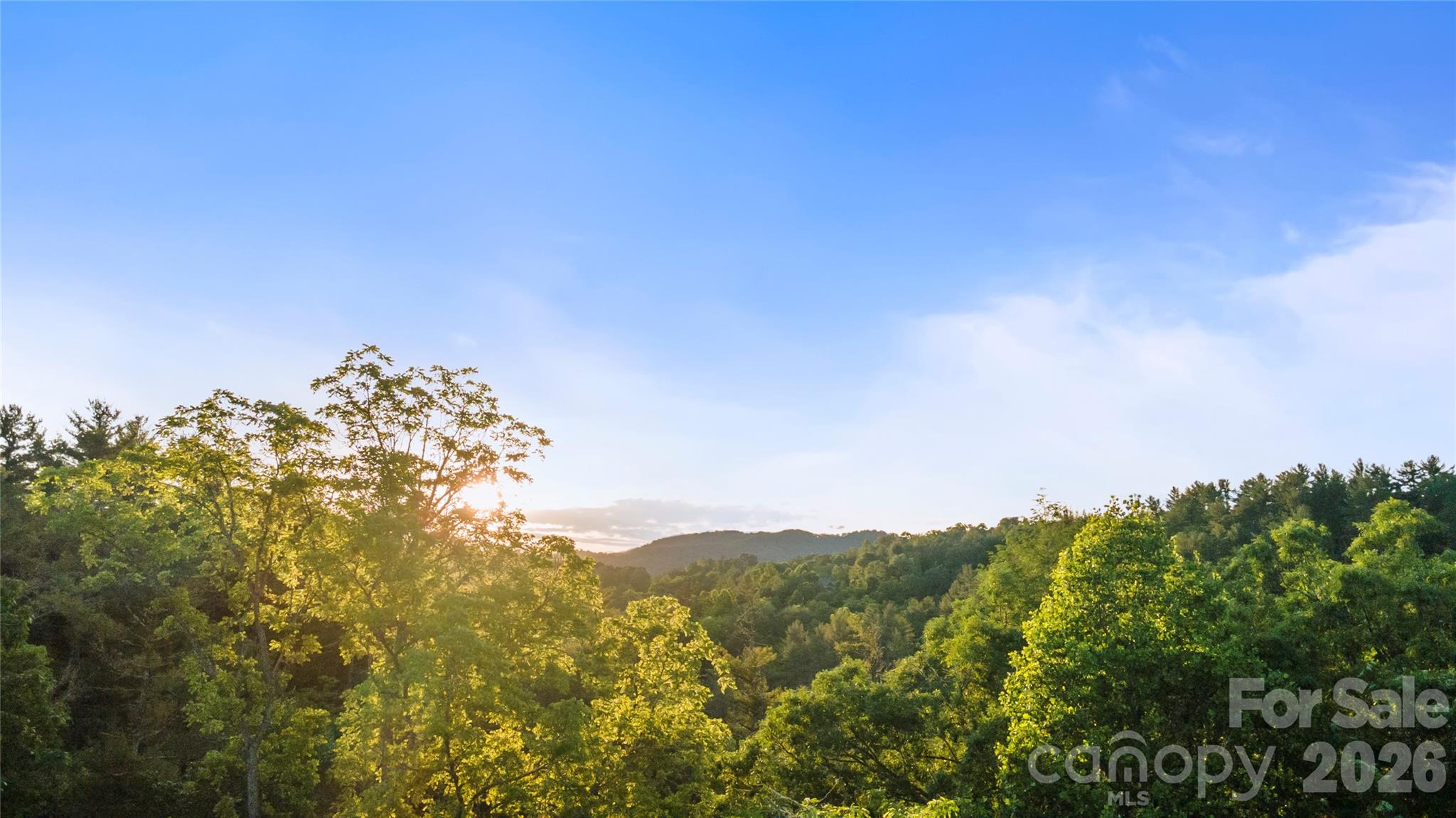 99999 Bear Creek Road 38 Property Photo 13