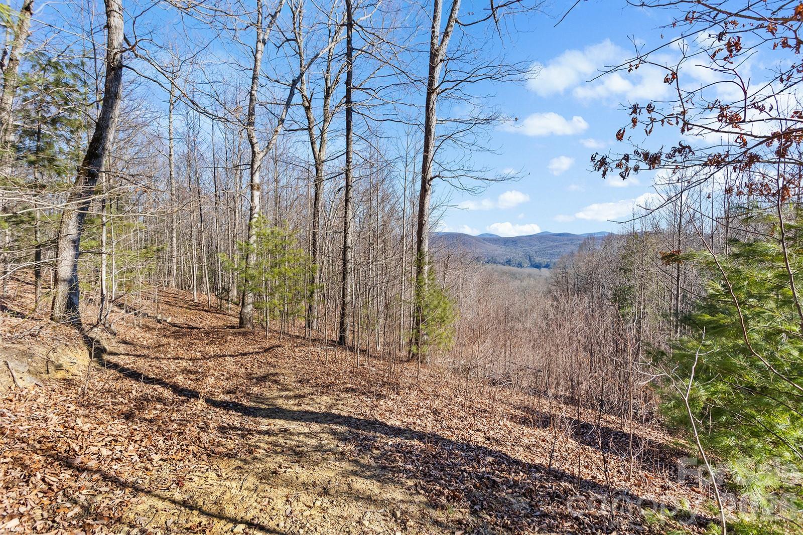0000 Pinnacle Mountain Road Lots 1,2,3,4 Property Photo 1