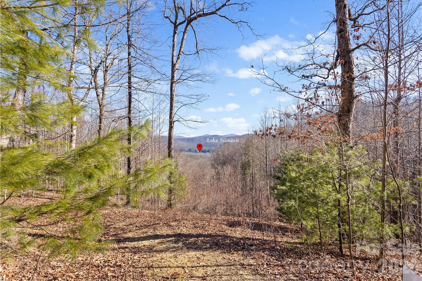0000 Pinnacle Mountain Road Lots 1,2,3,4 Property Photo 3