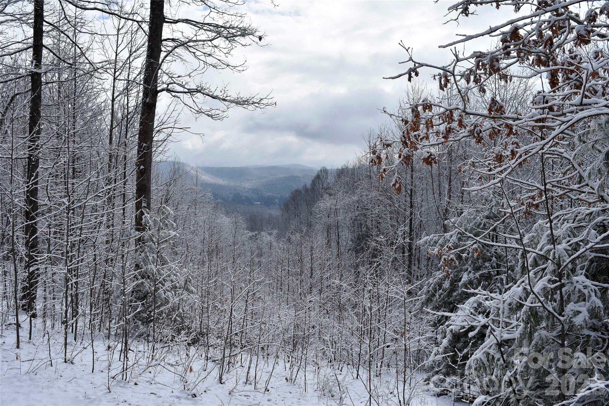 0000 Pinnacle Mountain Road Lots 1,2,3,4 Property Photo 4