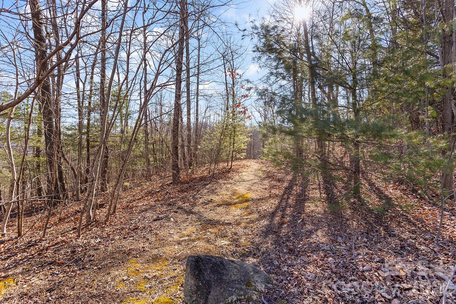 0000 Pinnacle Mountain Road Lots 1,2,3,4 Property Photo 6