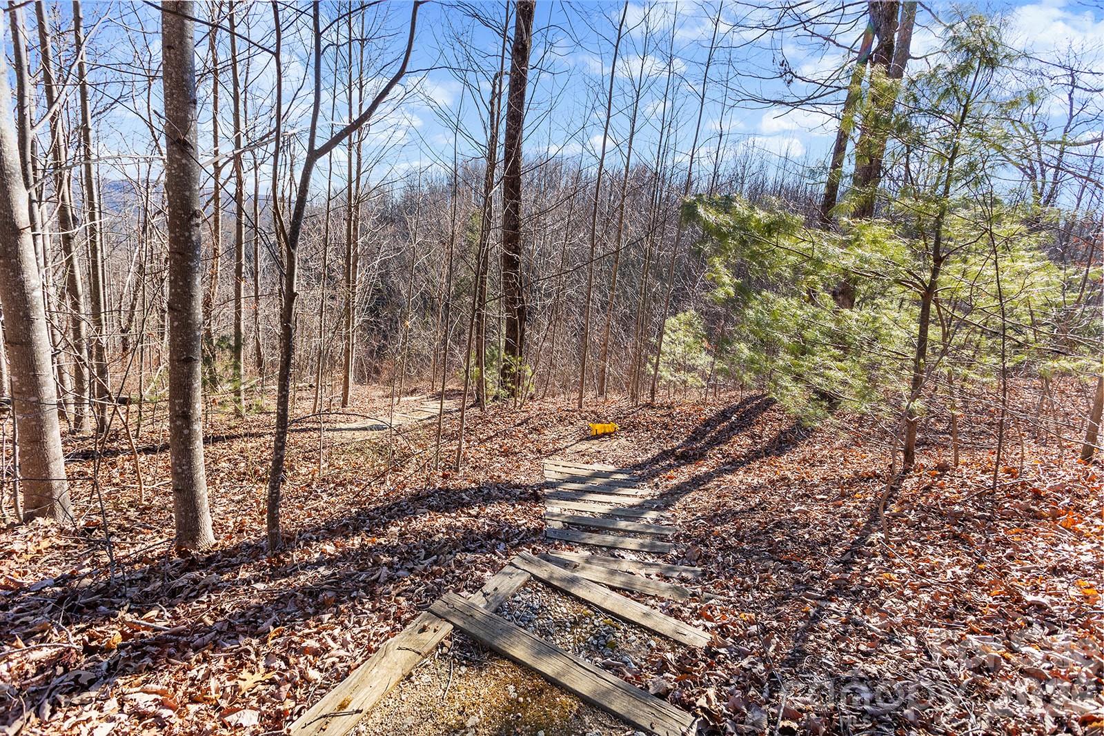 0000 Pinnacle Mountain Road Lots 1,2,3,4 Property Photo 11