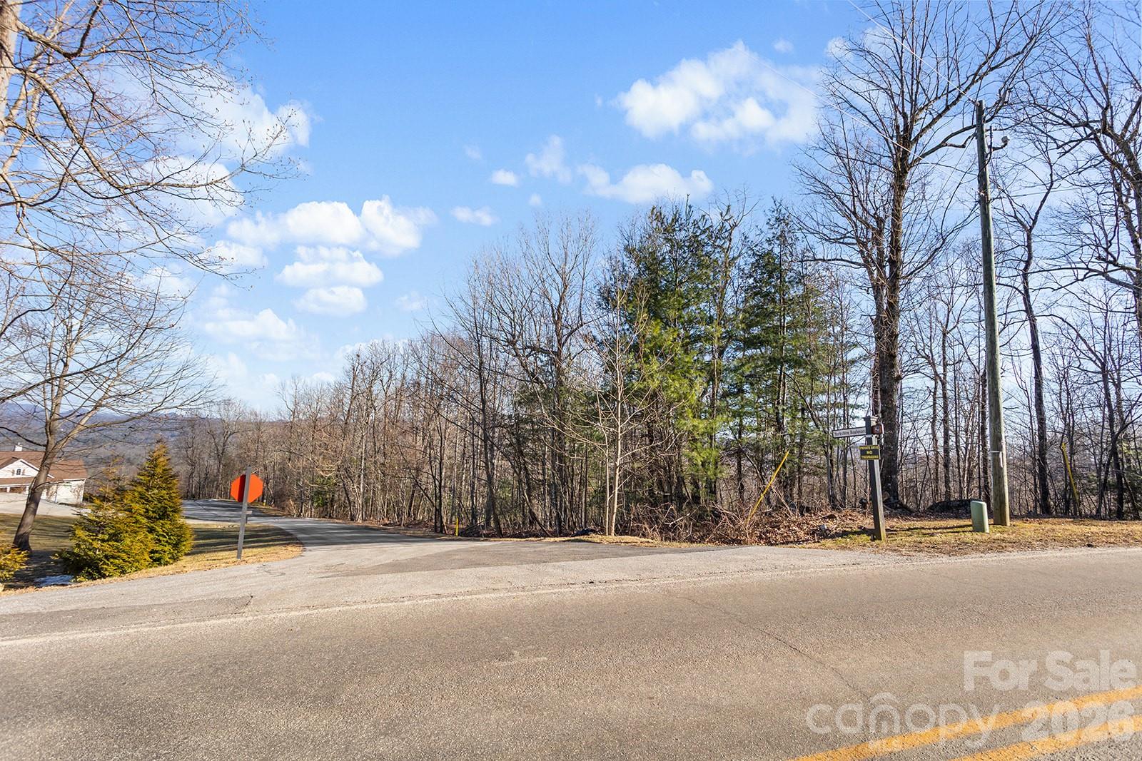0000 Pinnacle Mountain Road Lots 1,2,3,4 Property Photo 14