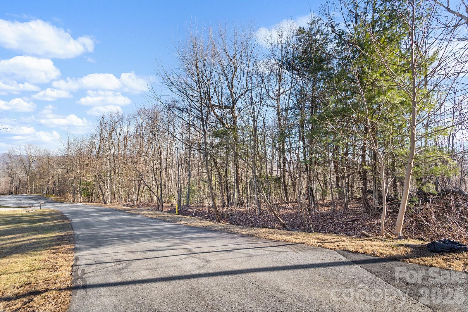 0000 Pinnacle Mountain Road Lots 1,2,3,4 Property Photo 15