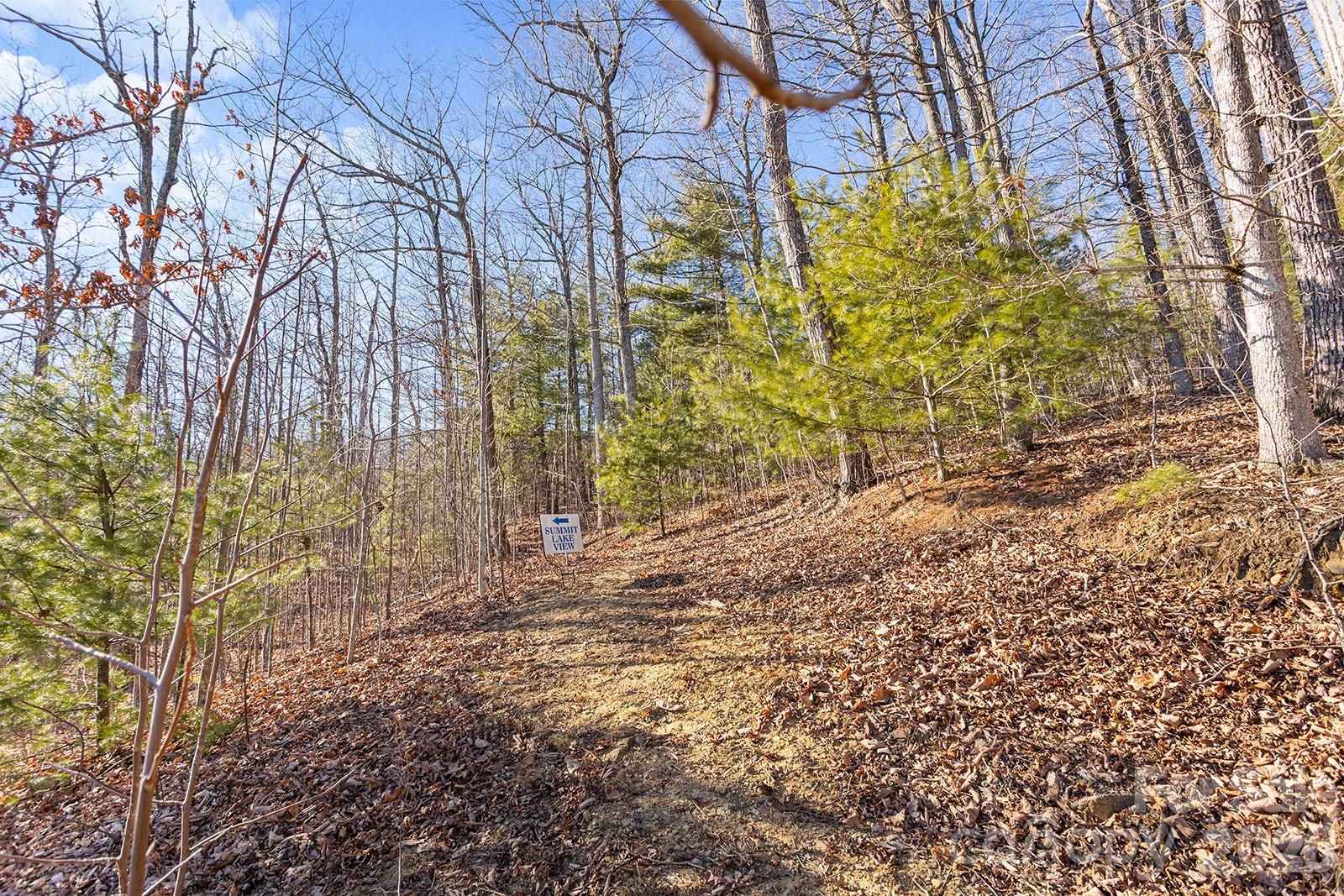 0000 Pinnacle Mountain Road Lots 1,2,3,4 Property Photo 17