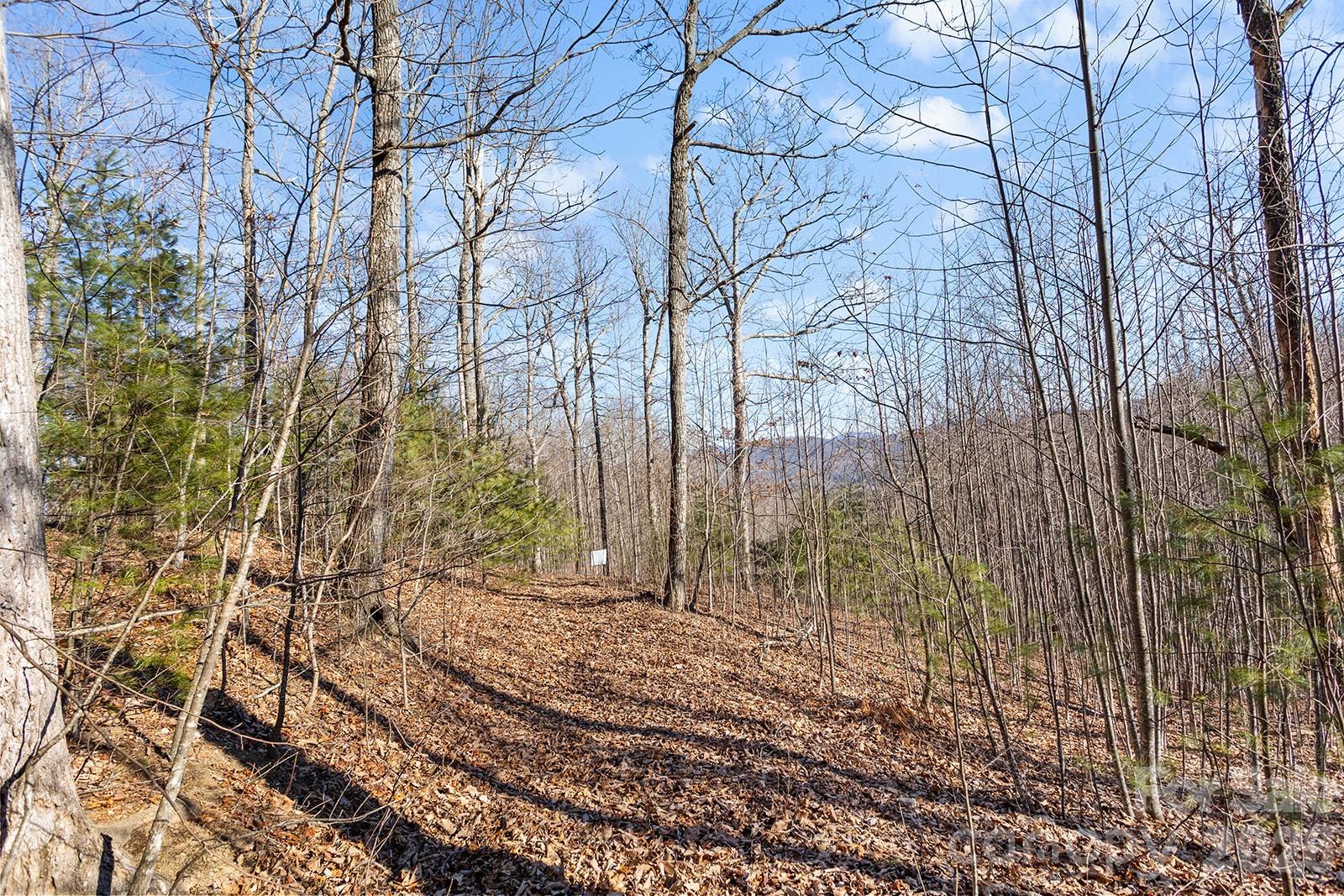 0000 Pinnacle Mountain Road Lots 1,2,3,4 Property Photo 18