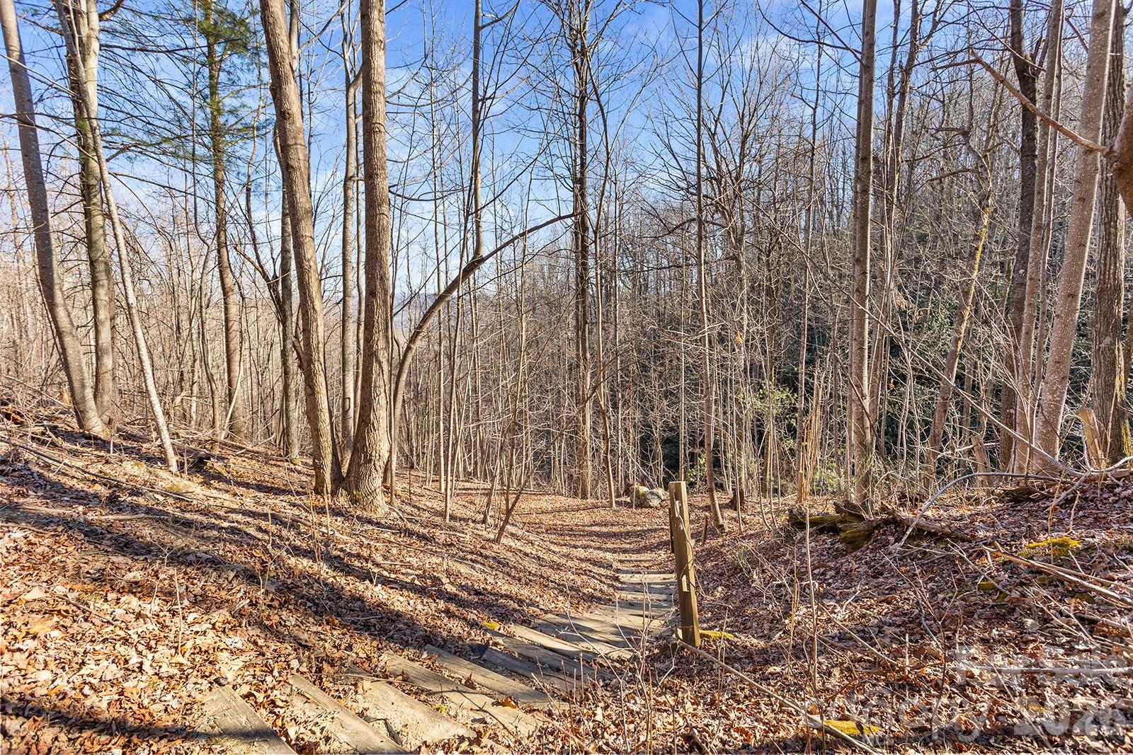 0000 Pinnacle Mountain Road Lots 1,2,3,4 Property Photo 19