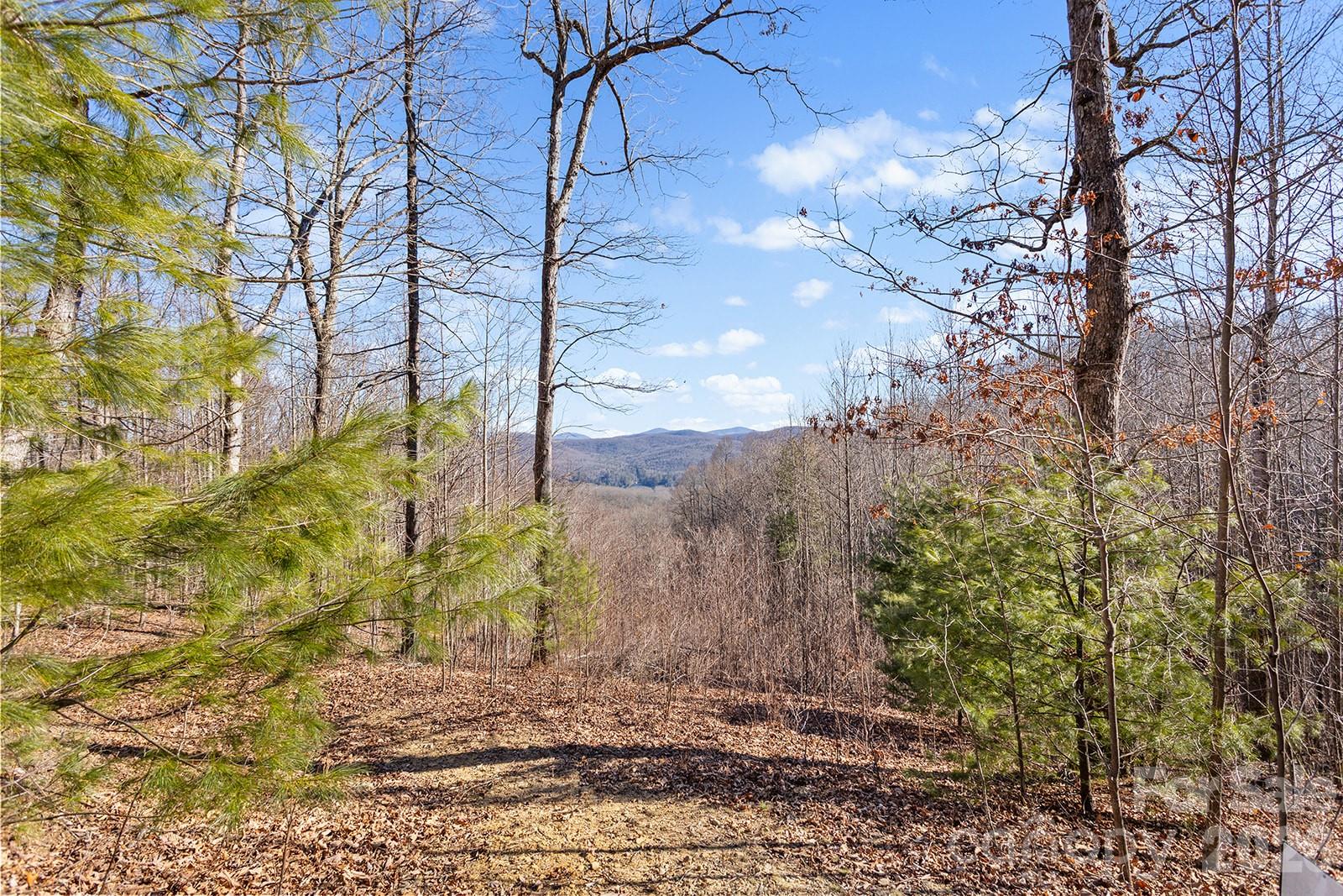 0000 Pinnacle Mountain Road Lots 1,2,3,4 Property Photo 20