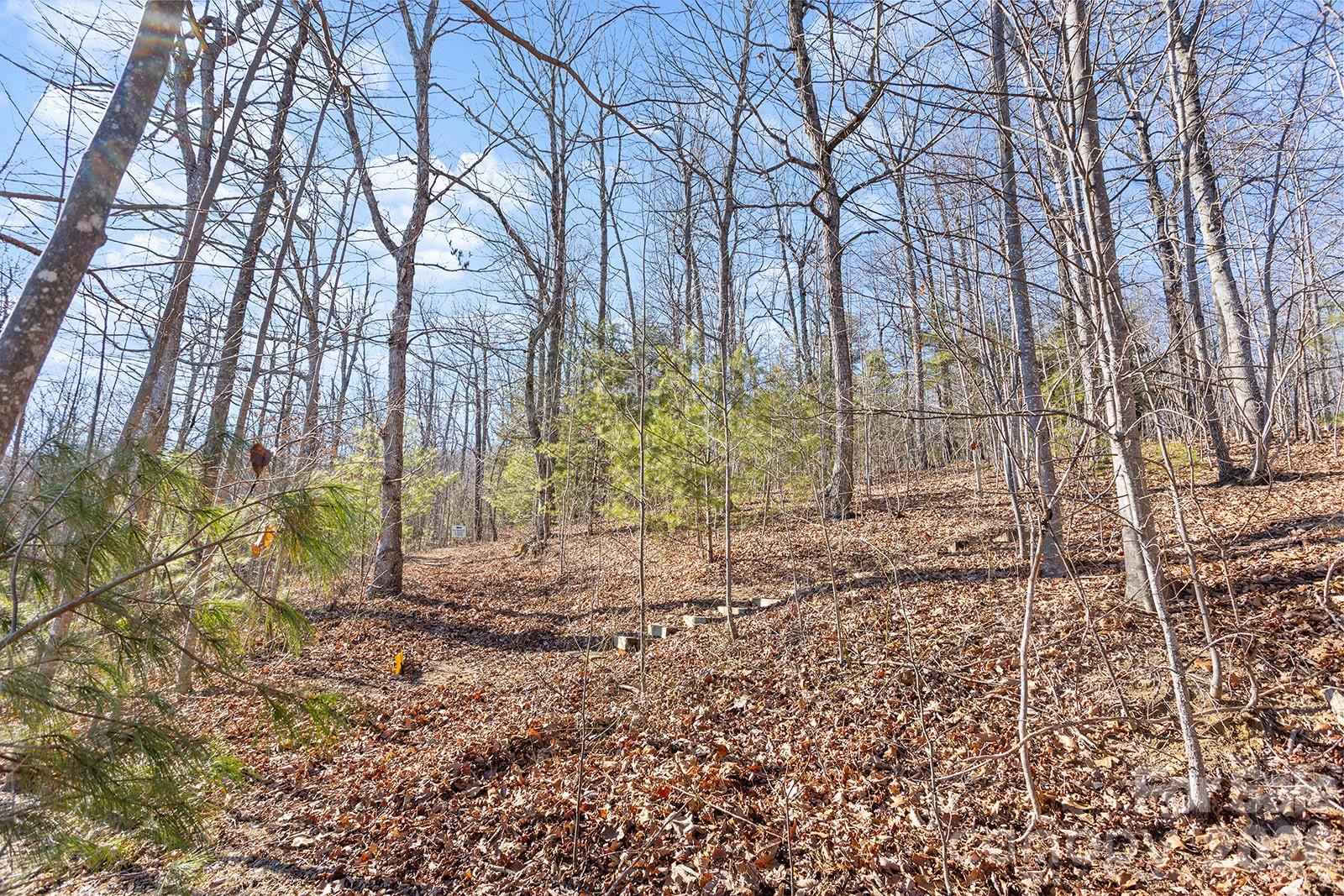 0000 Pinnacle Mountain Road Lots 1,2,3,4 Property Photo 21