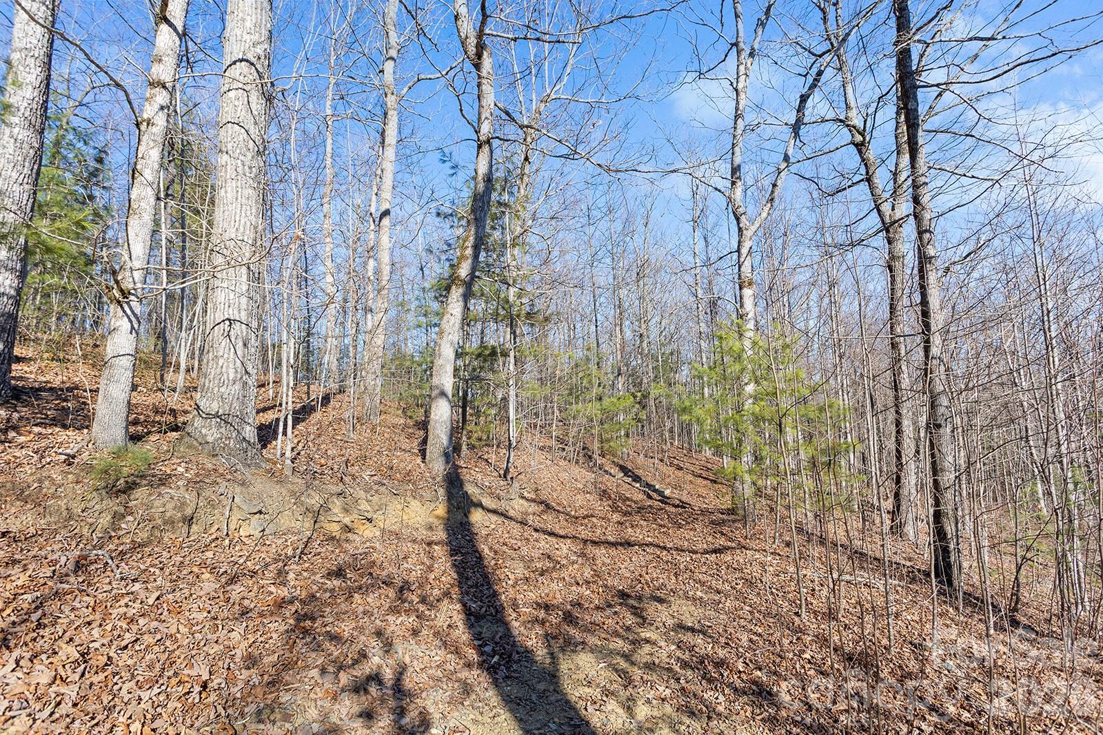 0000 Pinnacle Mountain Road Lots 1,2,3,4 Property Photo 22