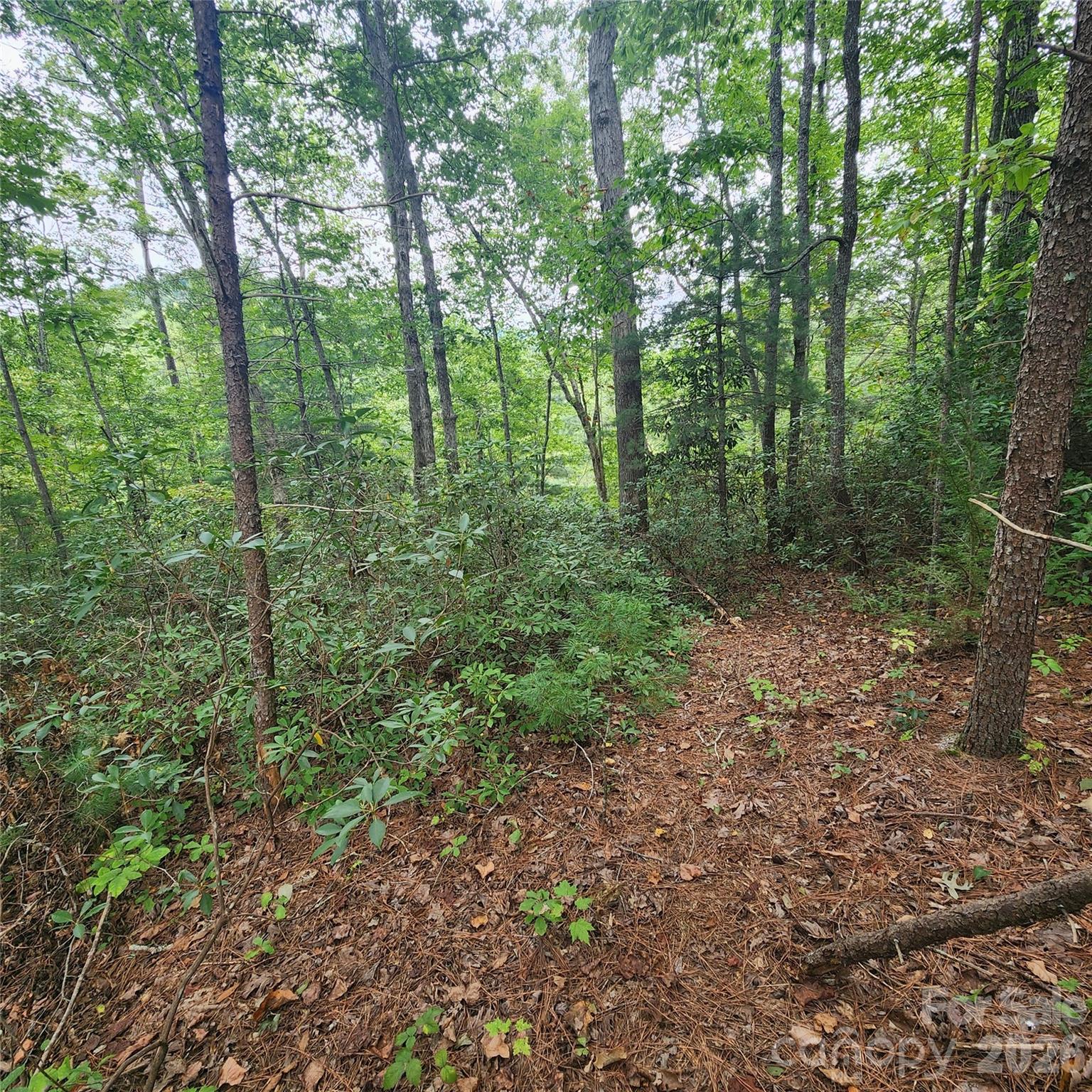 Lot 11 Waterside Drive Property Photo 2