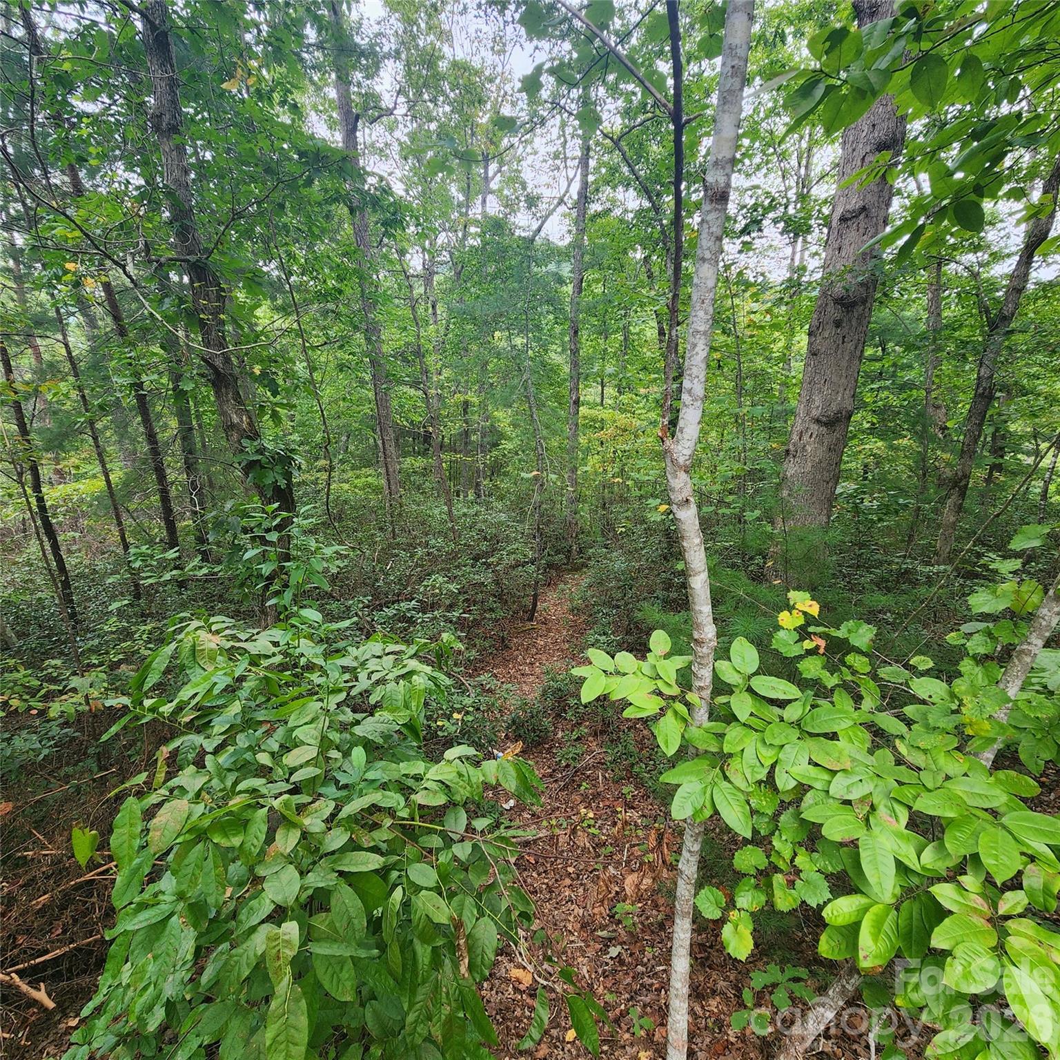 Lot 11 Waterside Drive Property Photo 3