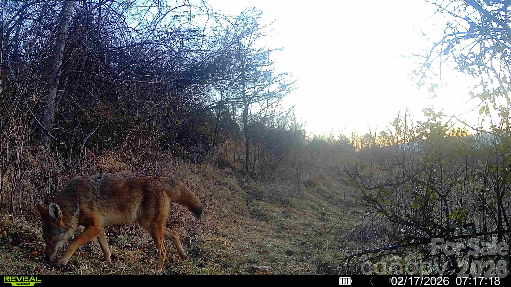99999 Green Valley Road Property Photo 26