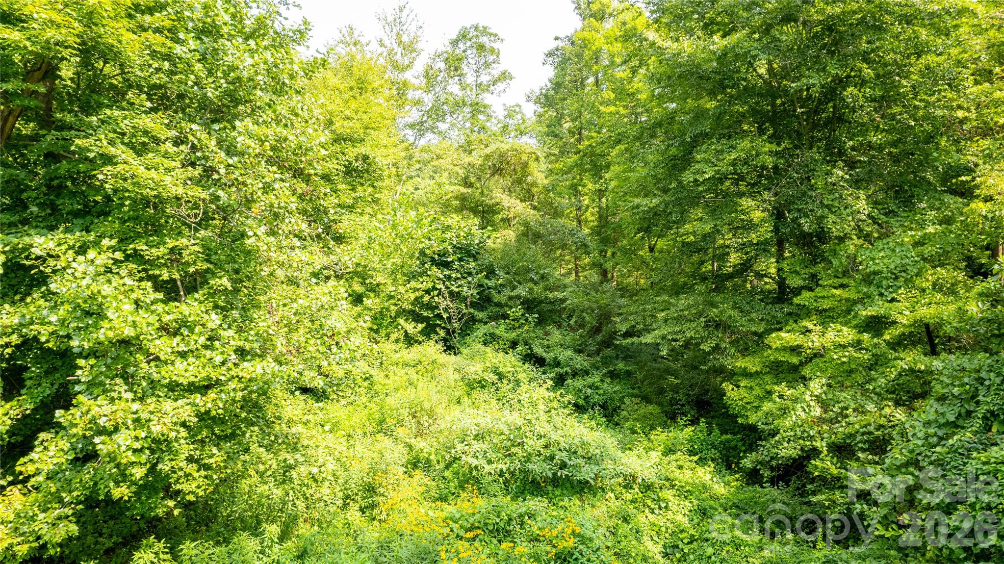 Tbd Collettsville Road 13 Property Photo 14