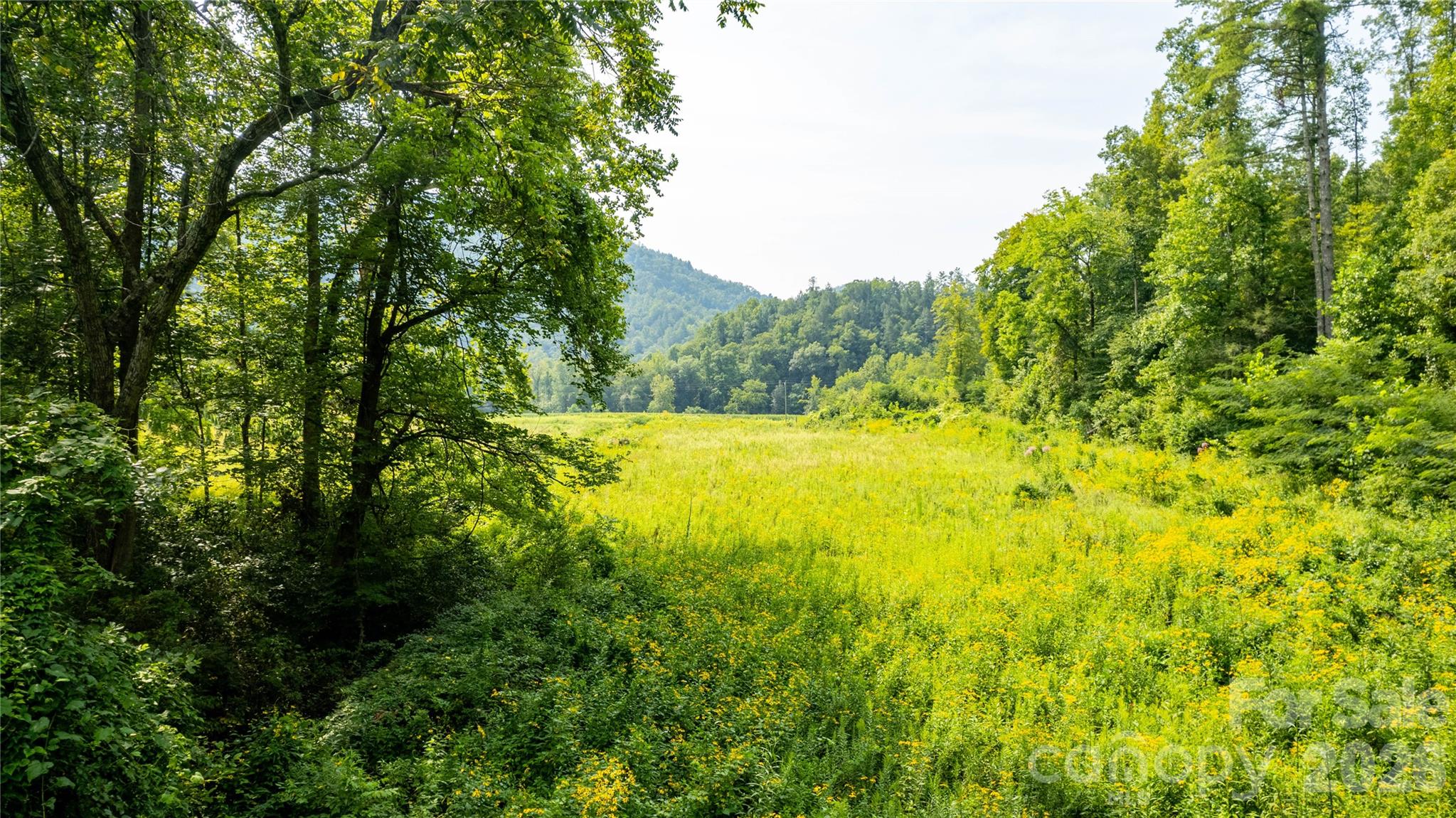 Tbd Collettsville Road 14 Property Photo 4