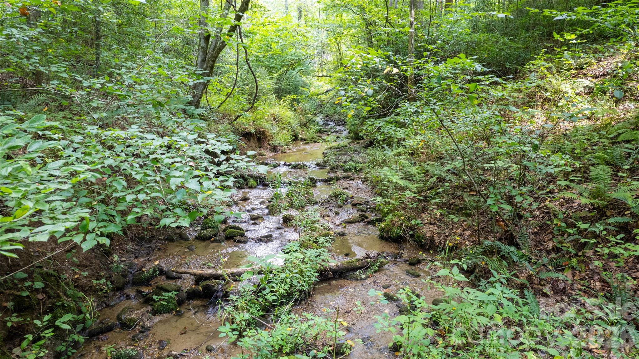 Tbd Collettsville Road 9 Property Photo 4