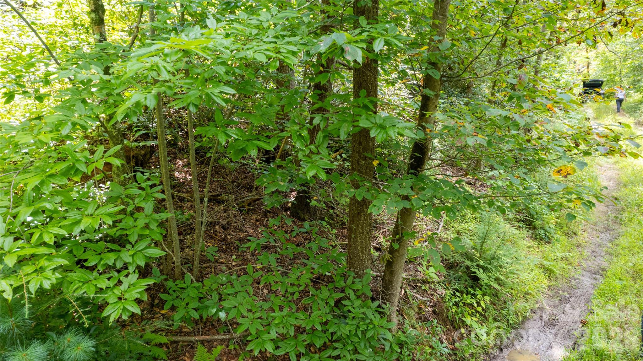 Tbd Collettsville Road 9 Property Photo 5