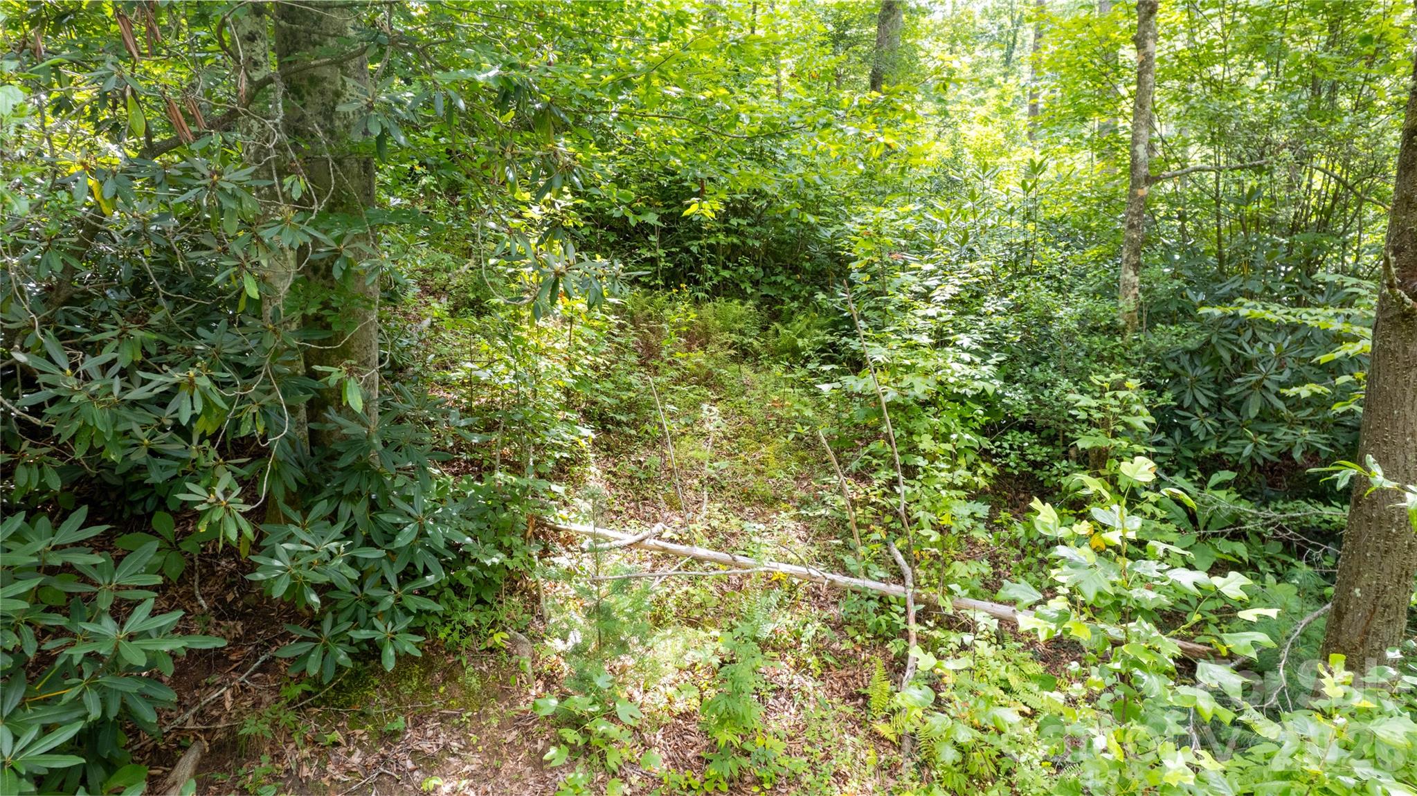 Tbd Collettsville Road 9 Property Photo 9