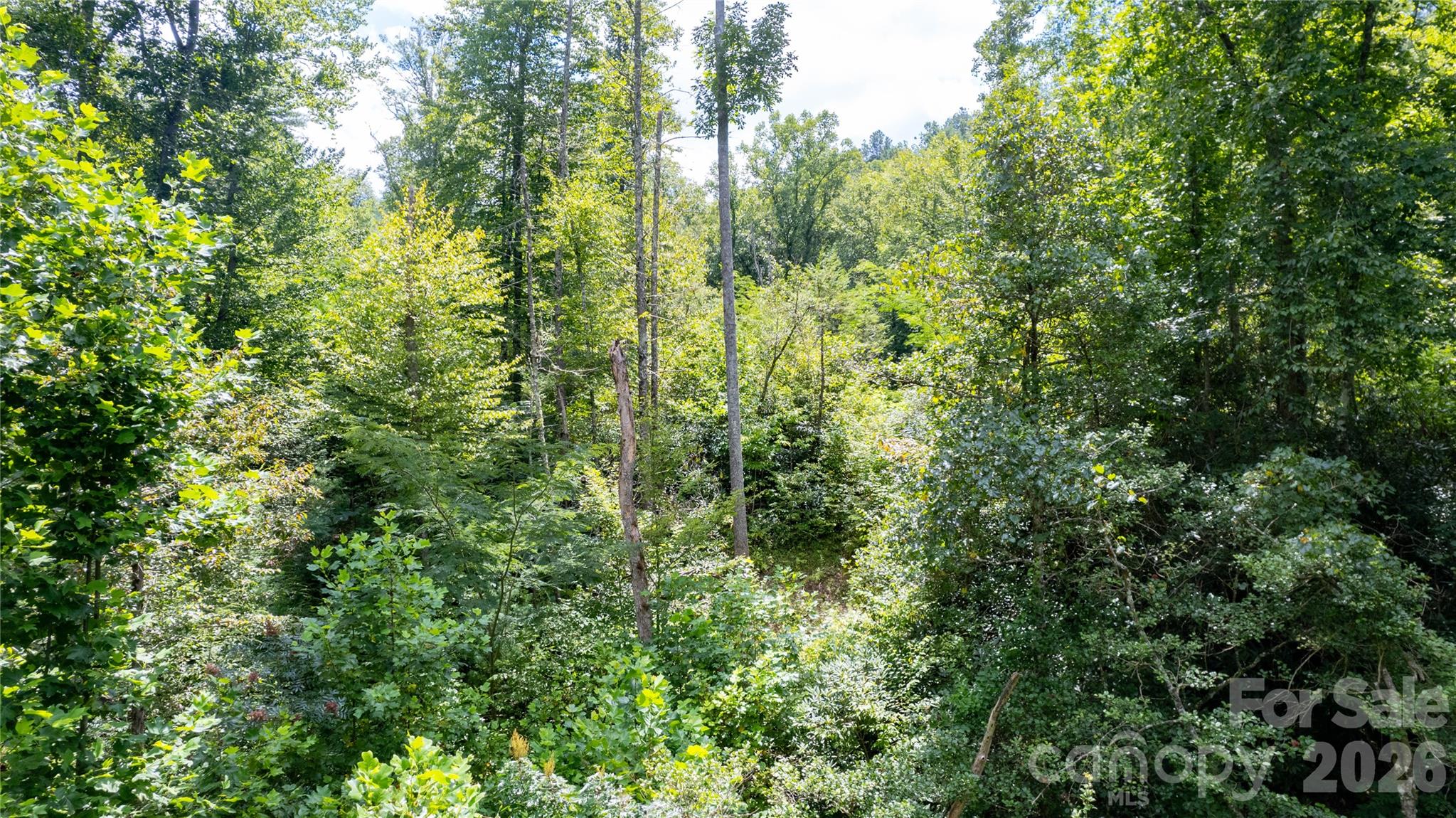 Tbd Collettsville Road 9 Property Photo 10