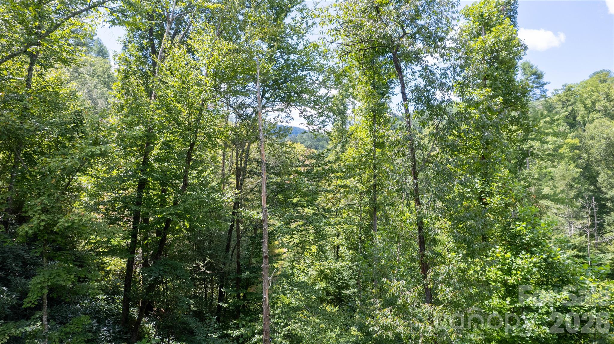 Tbd Collettsville Road 9 Property Photo 11