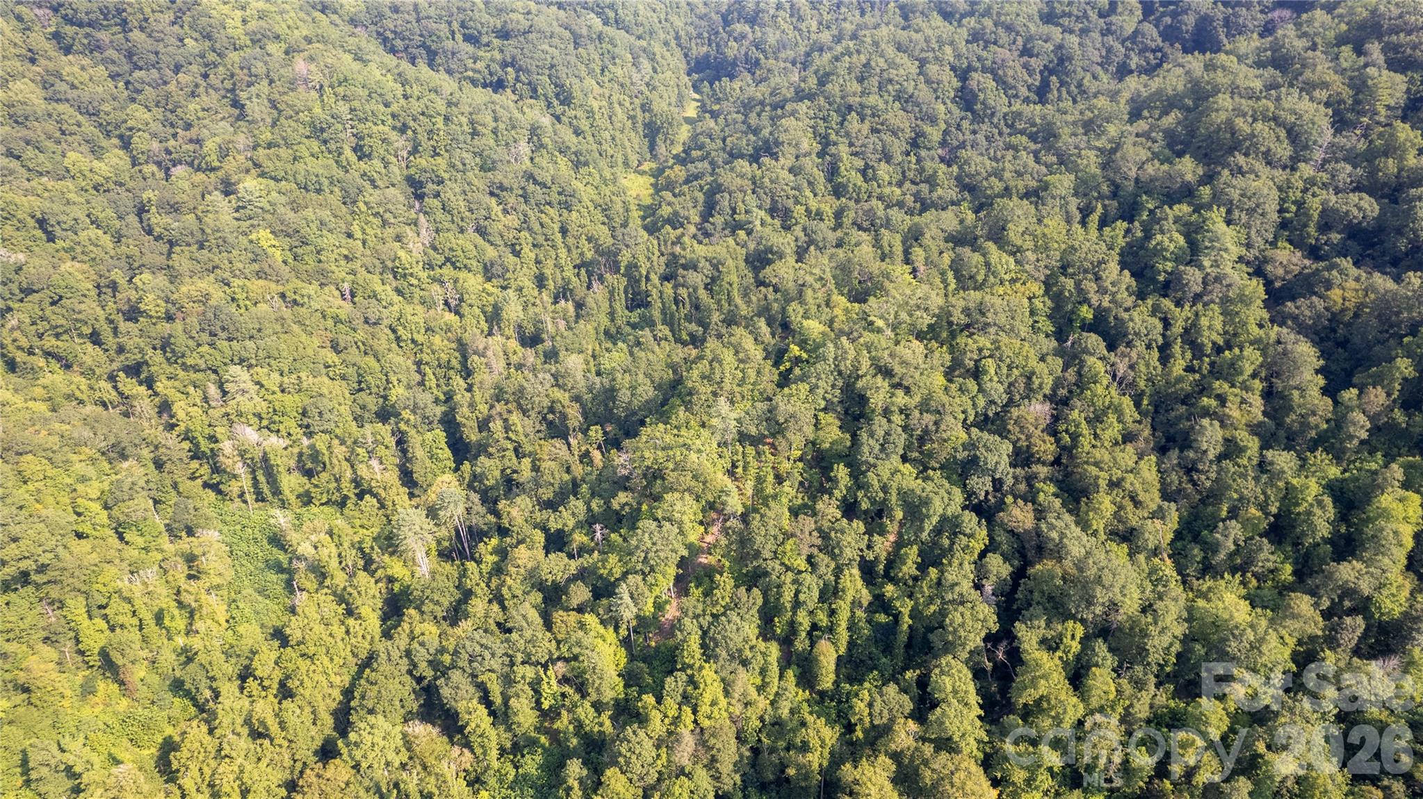 Tbd Collettsville Road 9 Property Photo 13