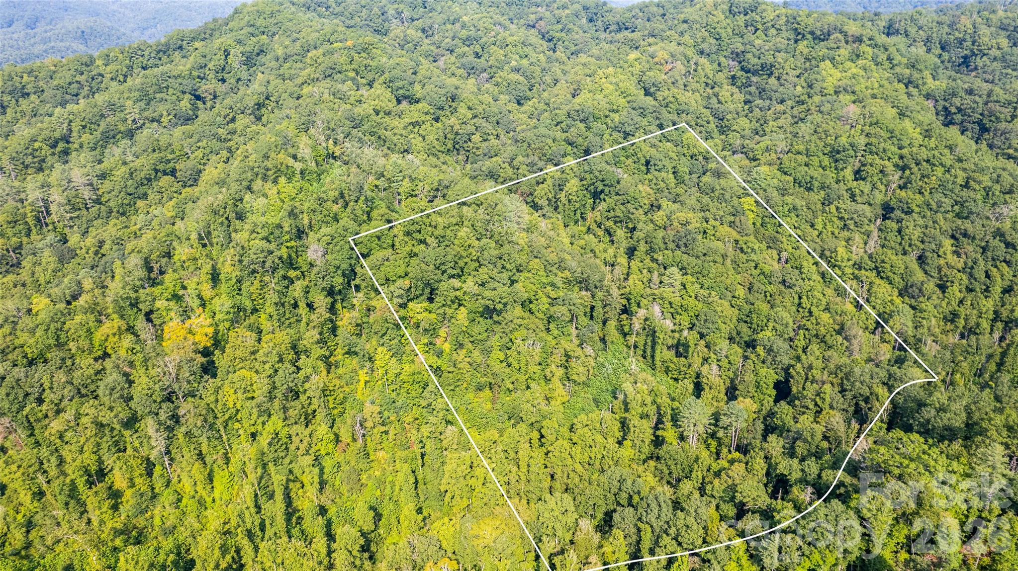 Tbd Collettsville Road 7 Property Photo 2