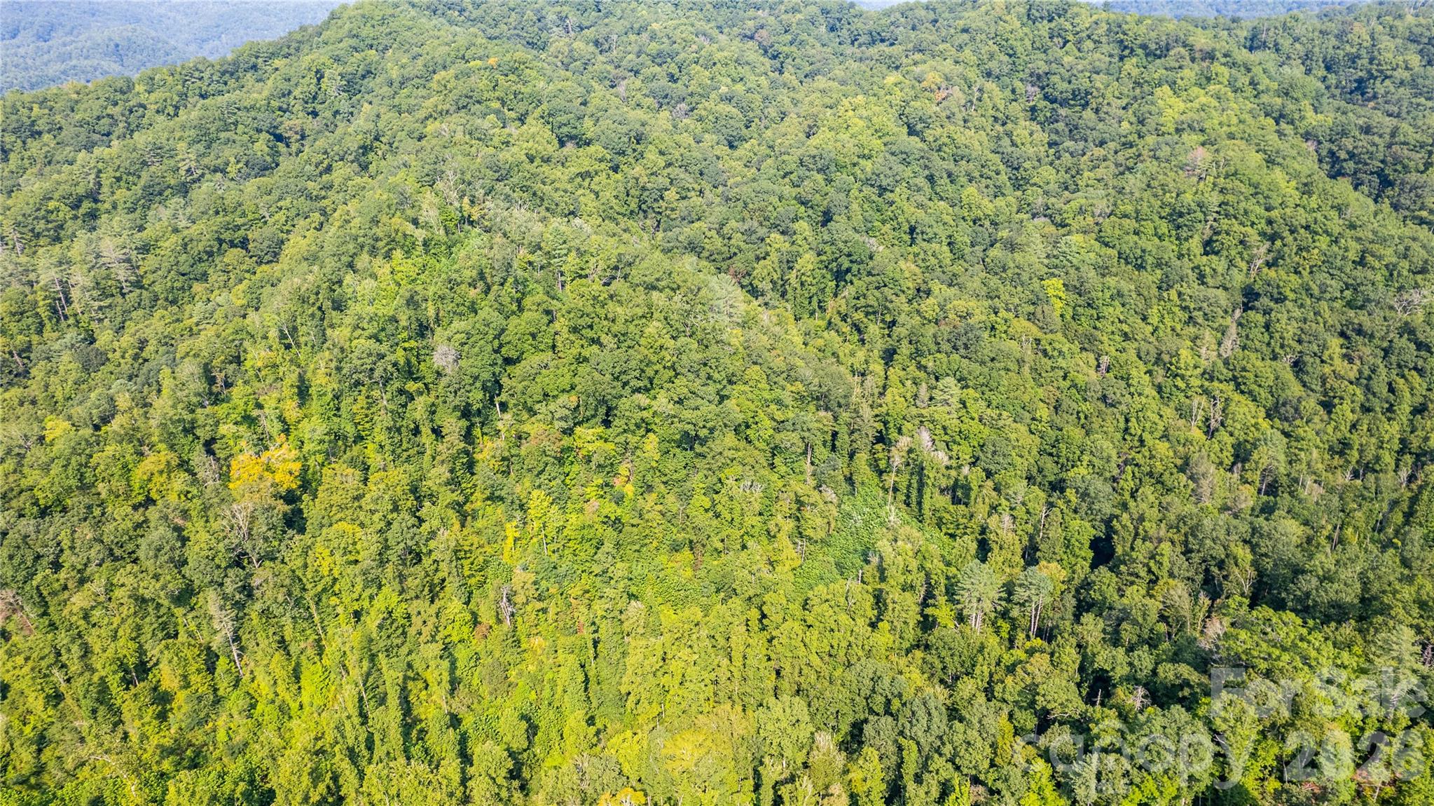 Tbd Collettsville Road 7 Property Photo 6
