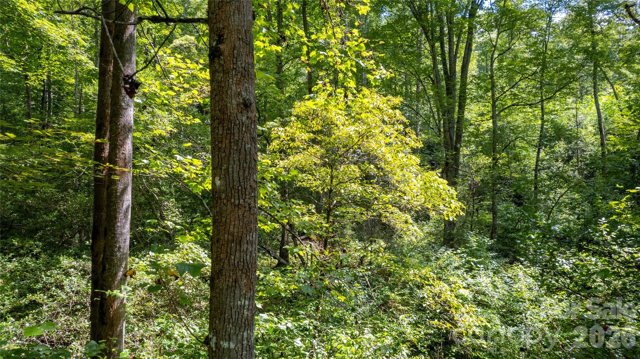 Tbd Collettsville Road 7 Property Photo 7