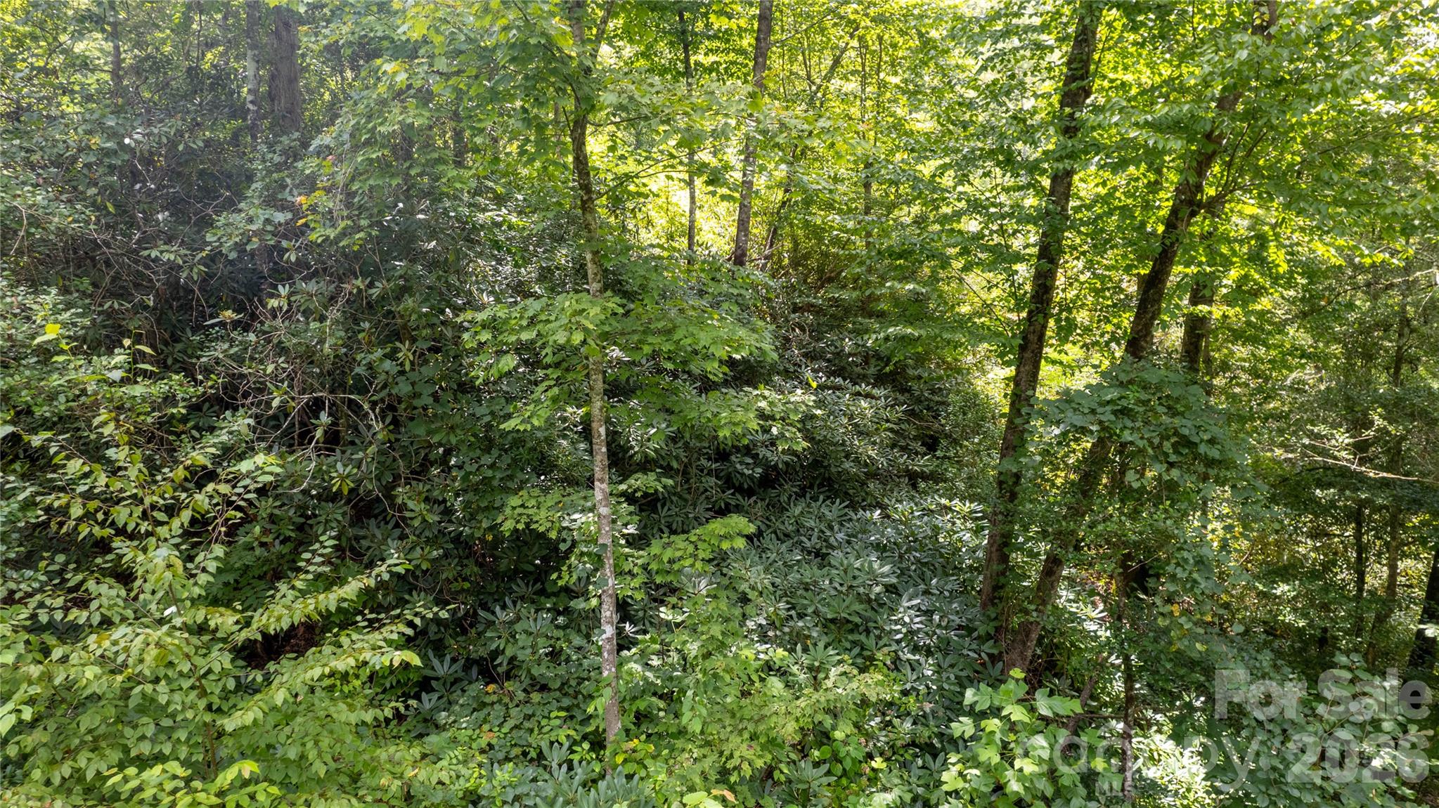 Tbd Collettsville Road 7 Property Photo 8